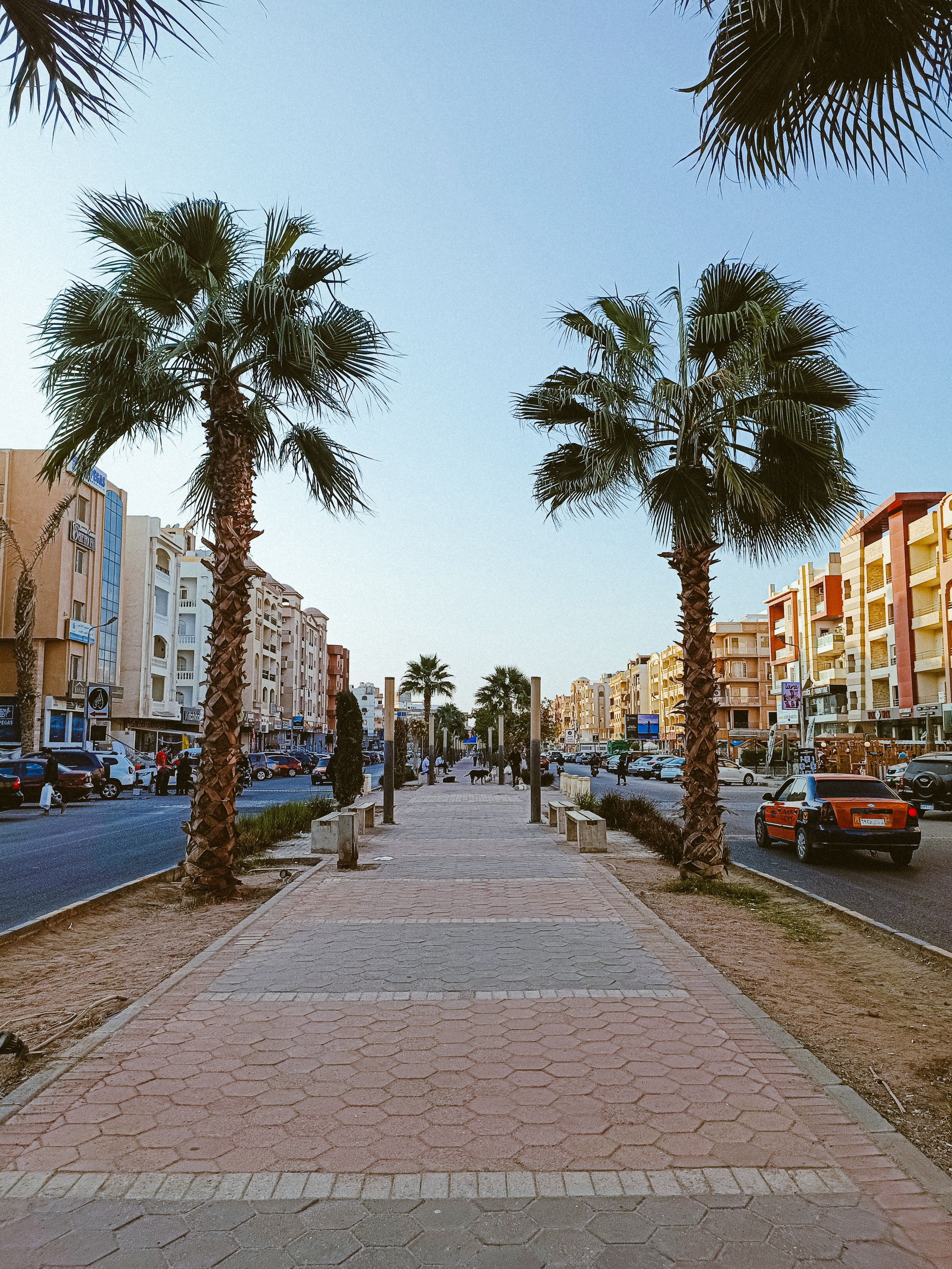 Мобильная. Jorgis — фотограф в Хургаде / обучение фотографии