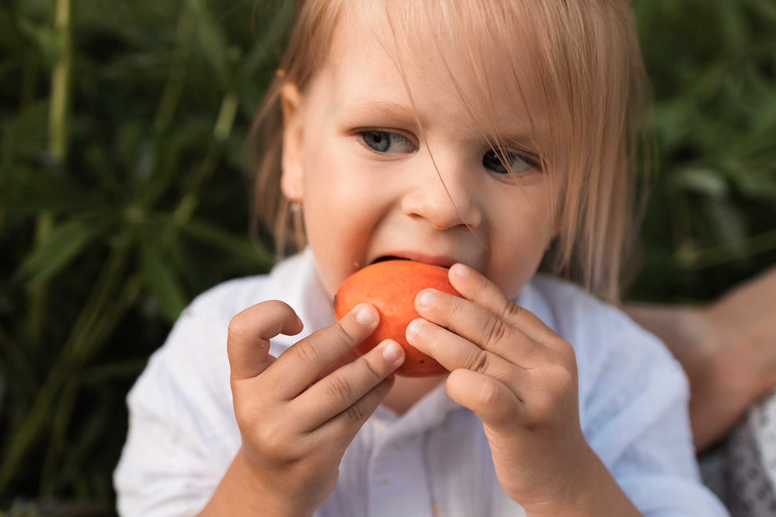 Семейная. Семейный и детский фотограф в Санкт-Петербурге Павлова Елена