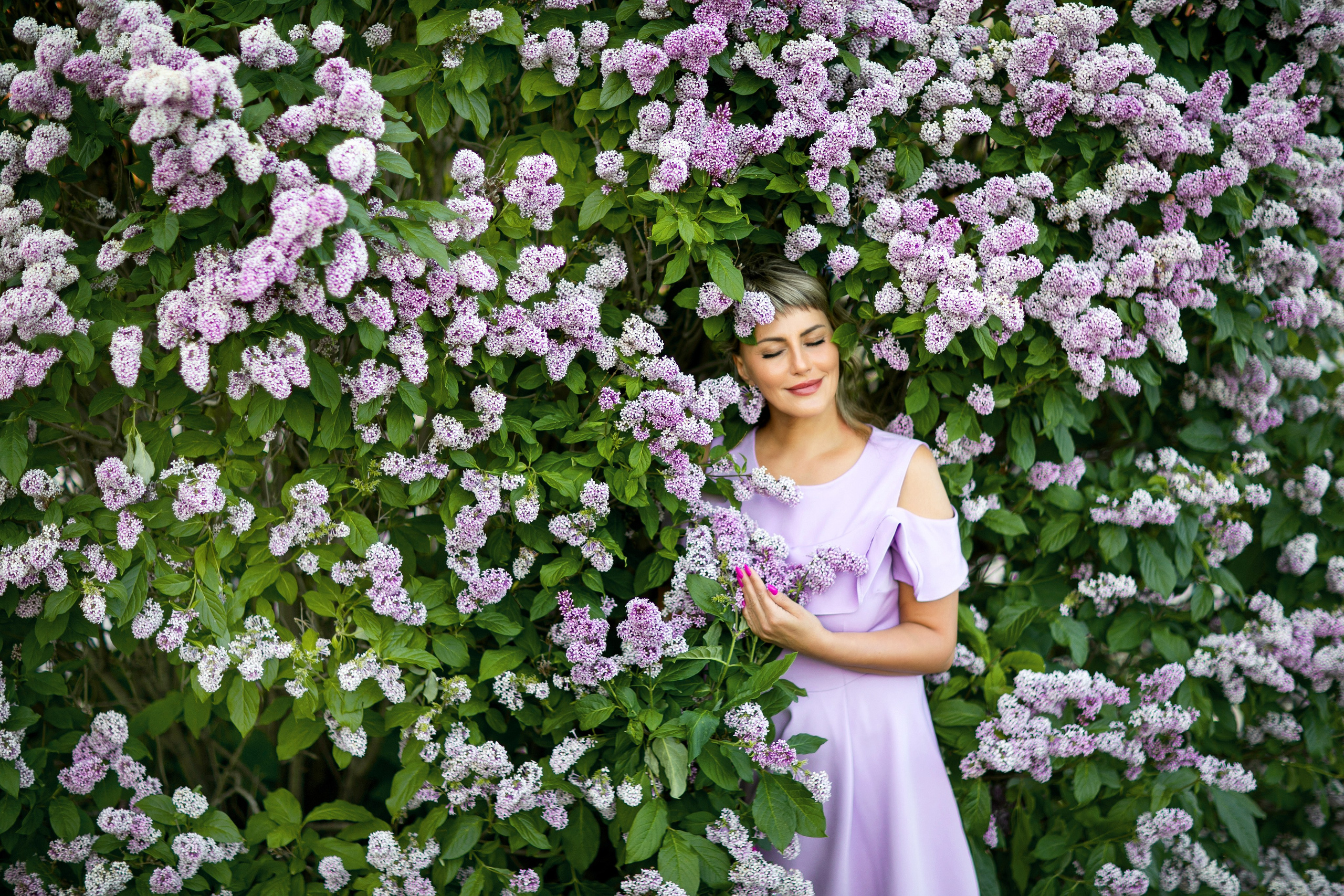 Сирень. Фотограф Елена Вишневская (Ушакова) Нефтеюганск, Сургут, Тюмень