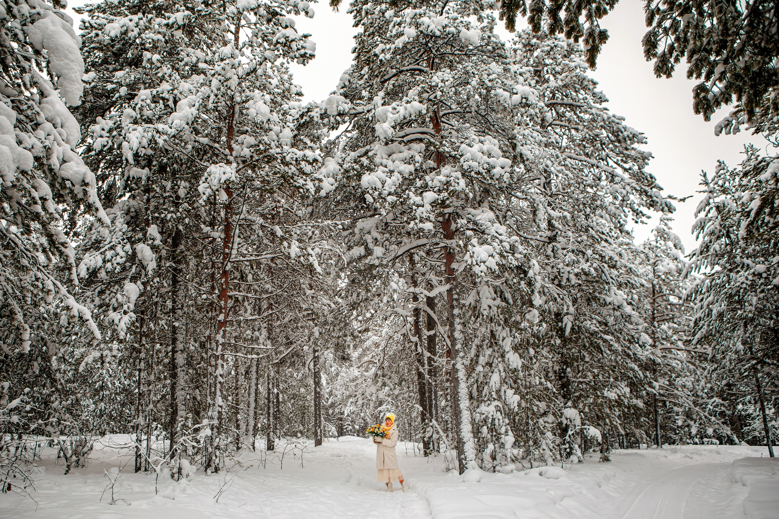 Прогулки по зиме. Фотограф Елена Вишневская (Ушакова) Нефтеюганск, Сургут, Тюмень