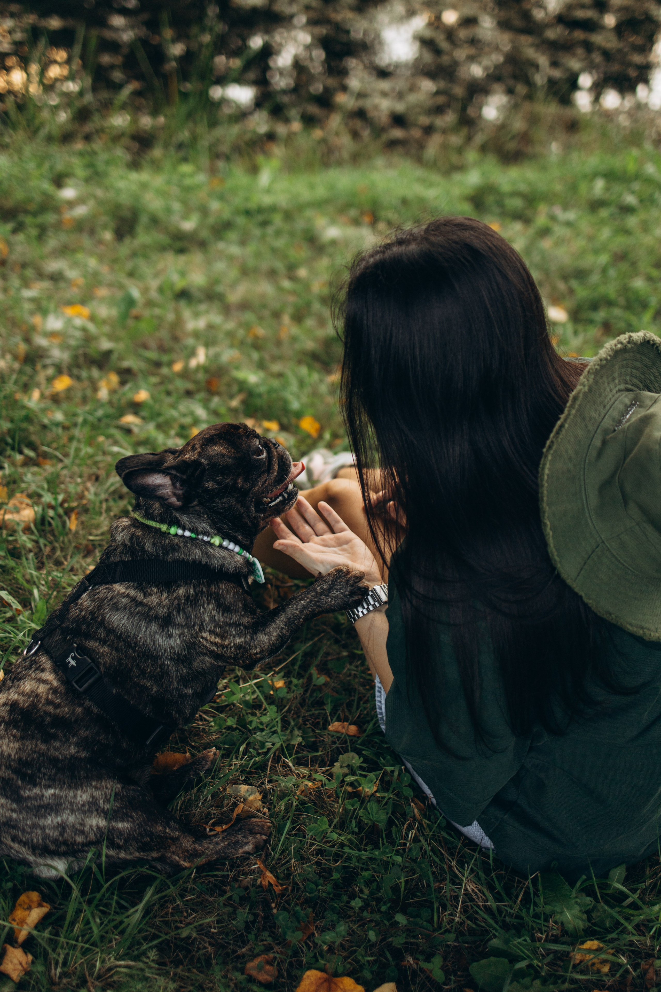 Олеся и Луи. Фотограф — Анималист | Санкт-Петербург