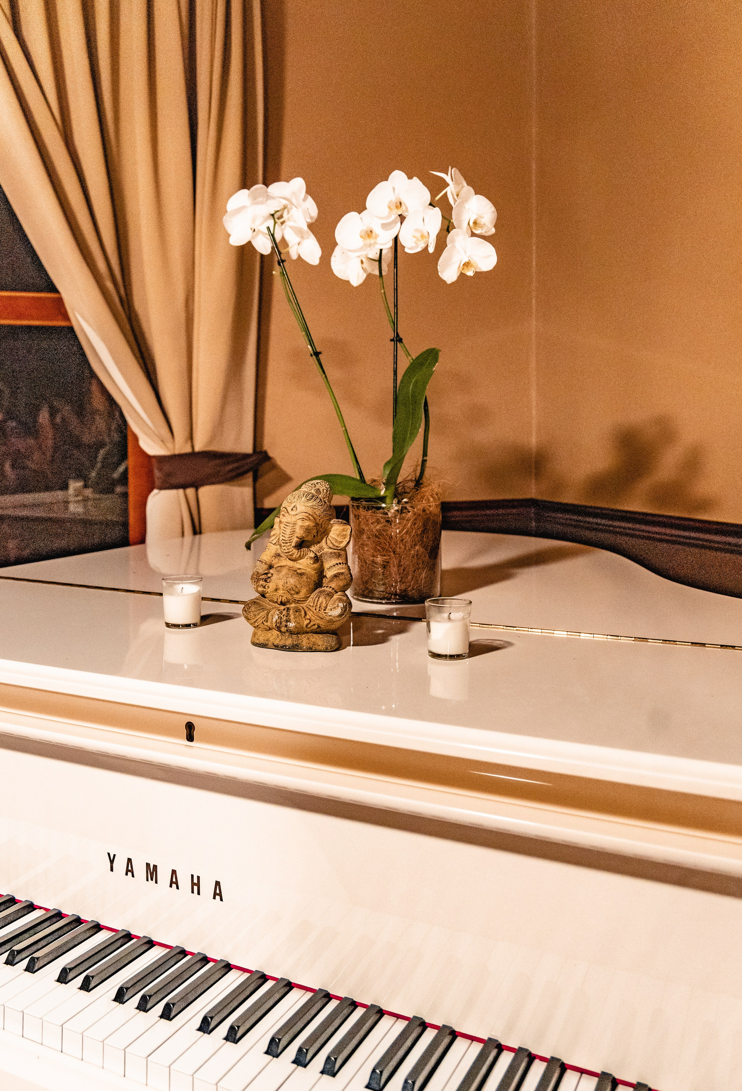 Real estate property for rent in Costa Rica. Family, portrait, content photo in Costa Rica Evgeniya Besprozvannykh