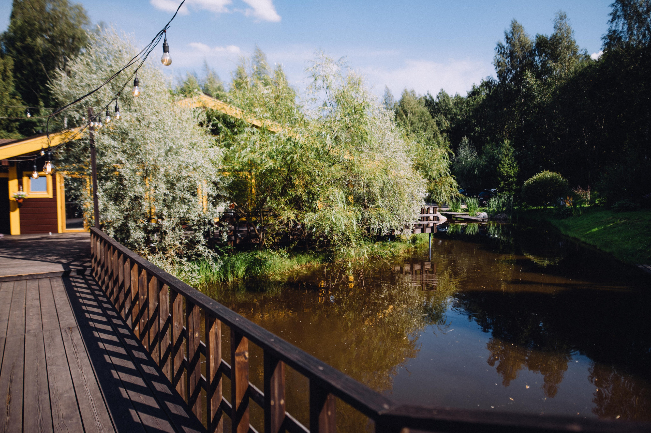 Свадебная фотография. Профессиональный фотограф Алексей Васенцев. Минск, СПБ, Москва