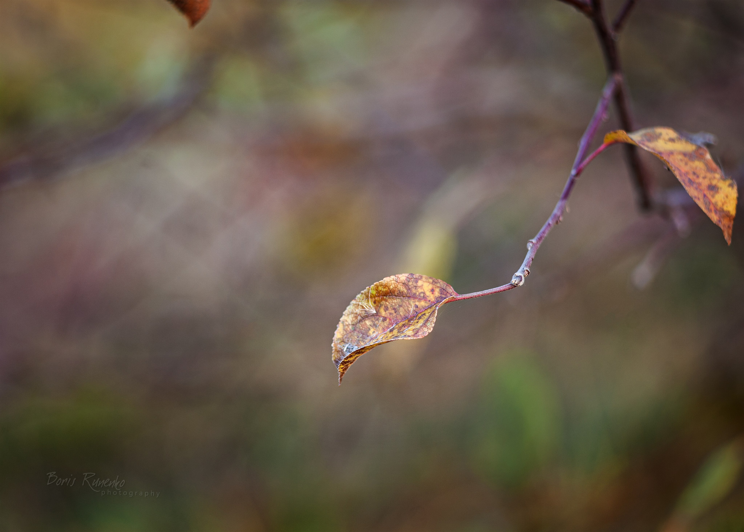 Пейзажный альбом 2. Борис Руненко. Пейзажный и travel-фотограф