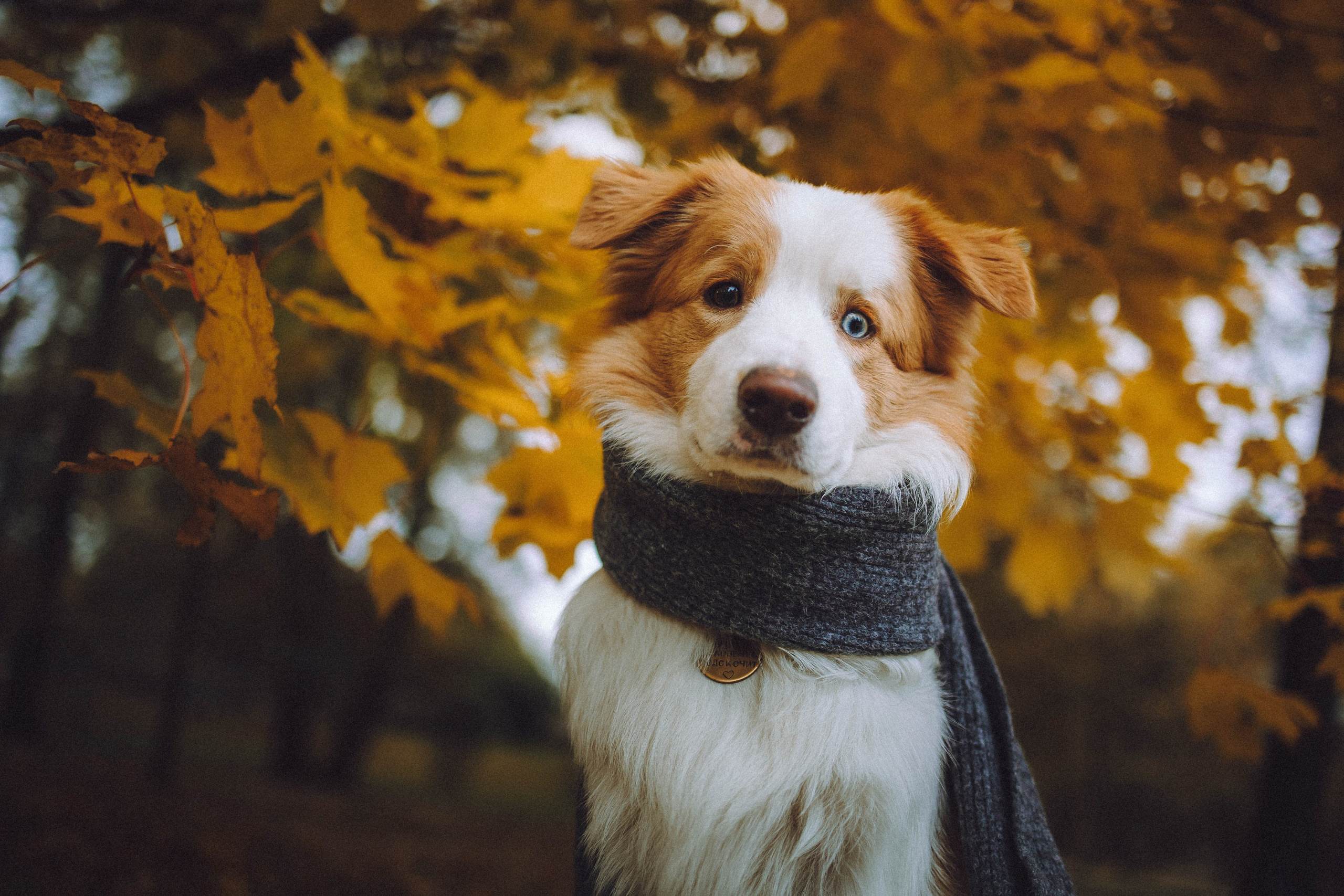 Алина, Витя и Асти