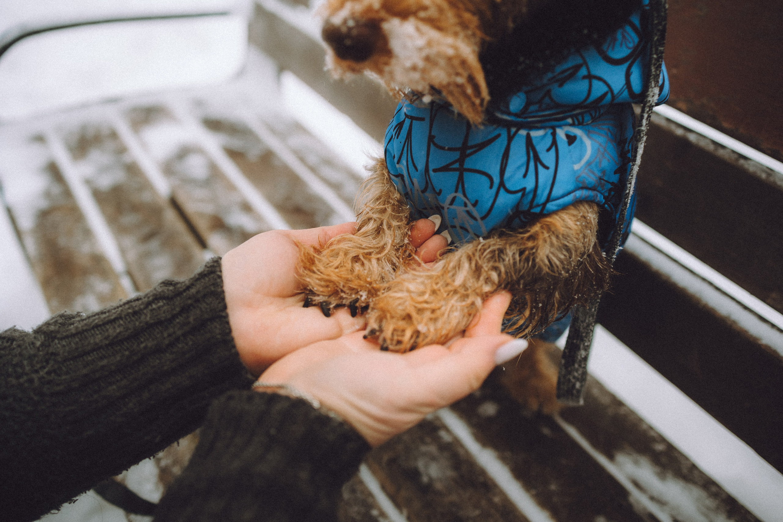 Каспер и его семья