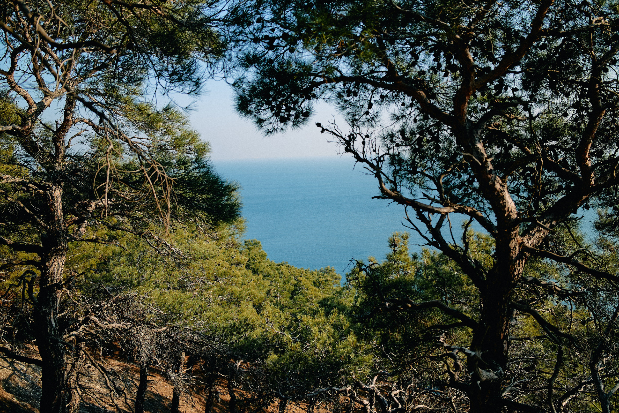 Юг России. Профессиональный Фотограф во Владимире, в Москве и в Суздале — Полина Романычева