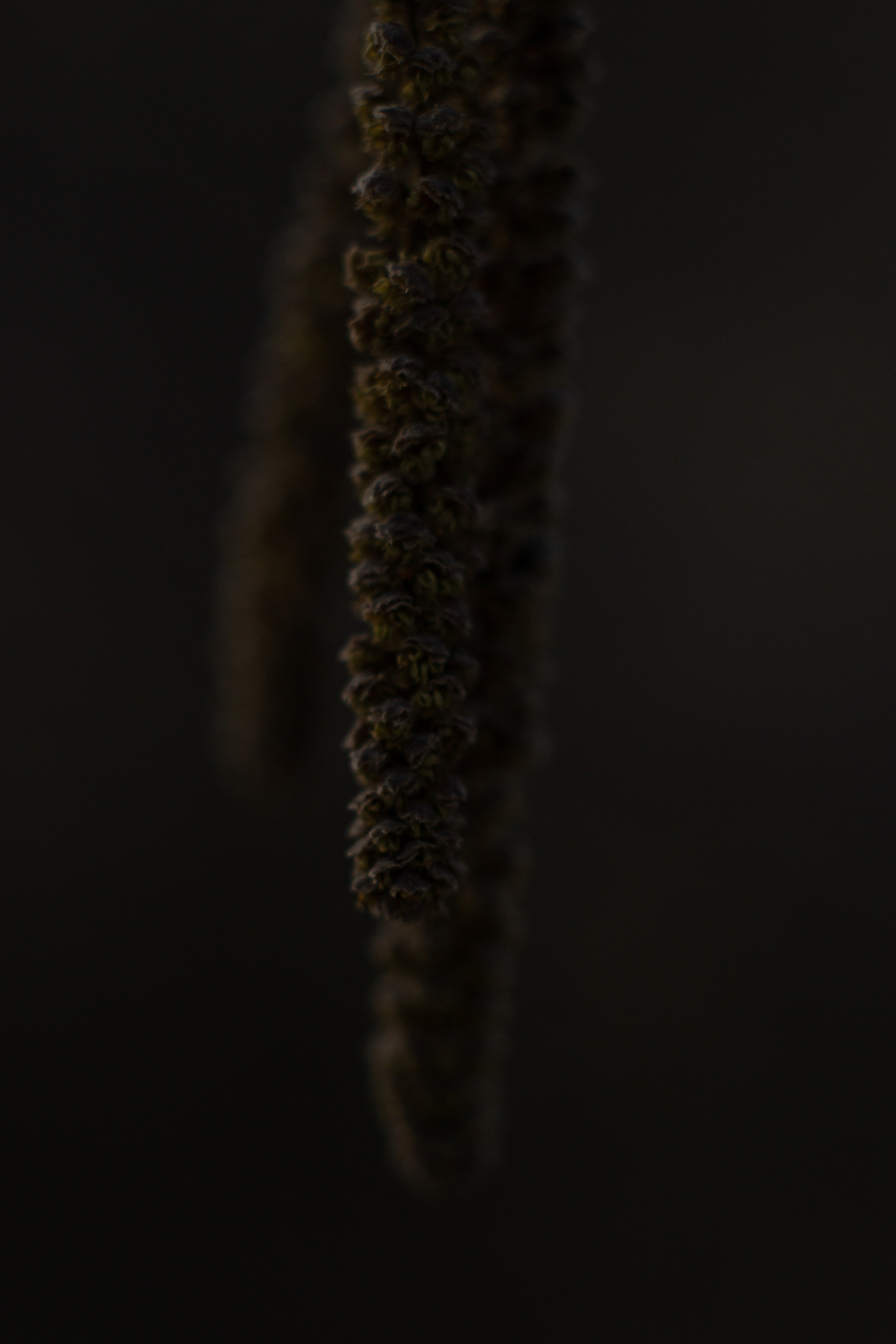 EXHIBITION. Репортажный и интерьерный фотограф, фотохудожник