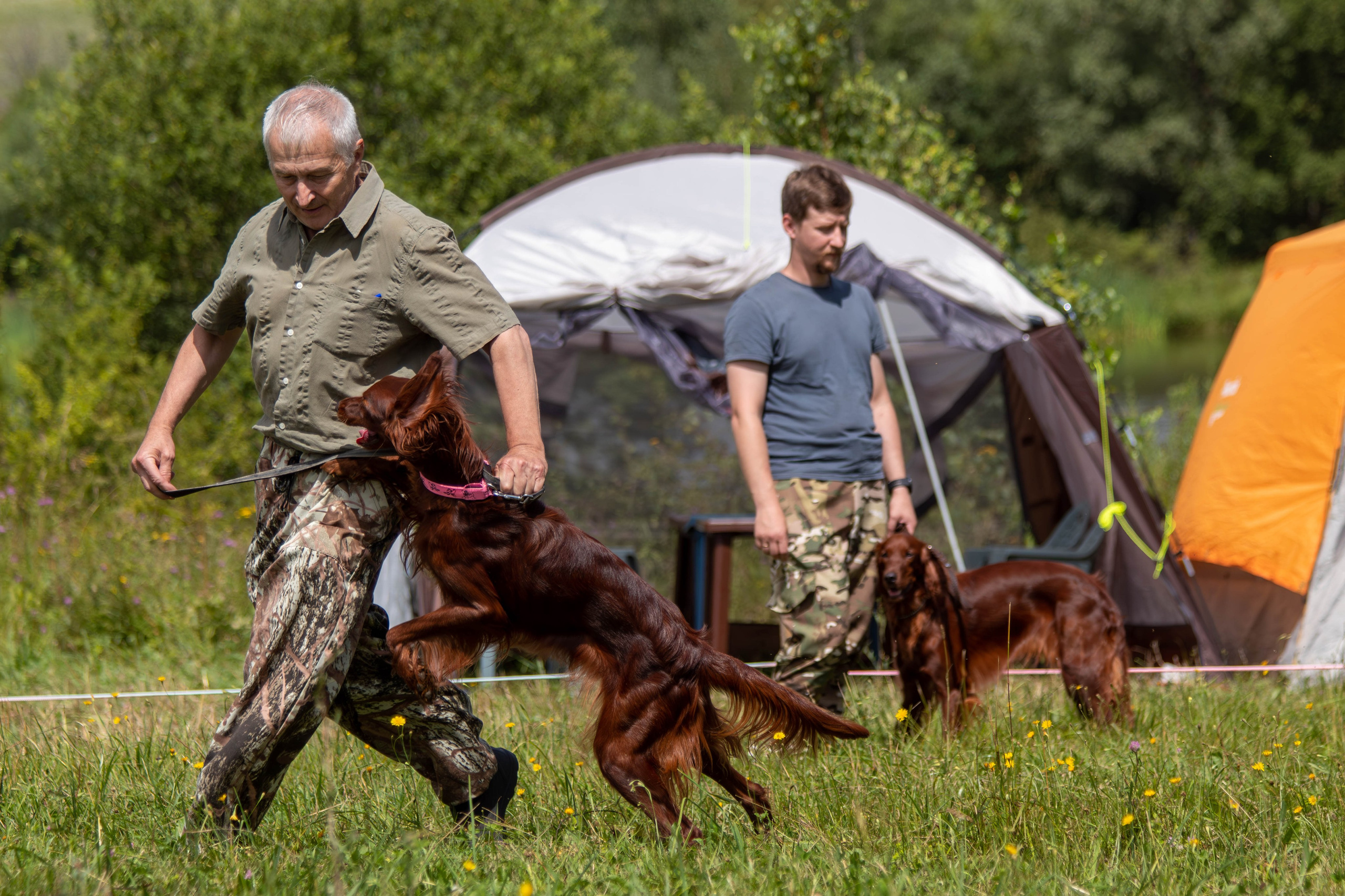 Репортажная съемка в Туле. Фотограф анималист — Тула, Москва