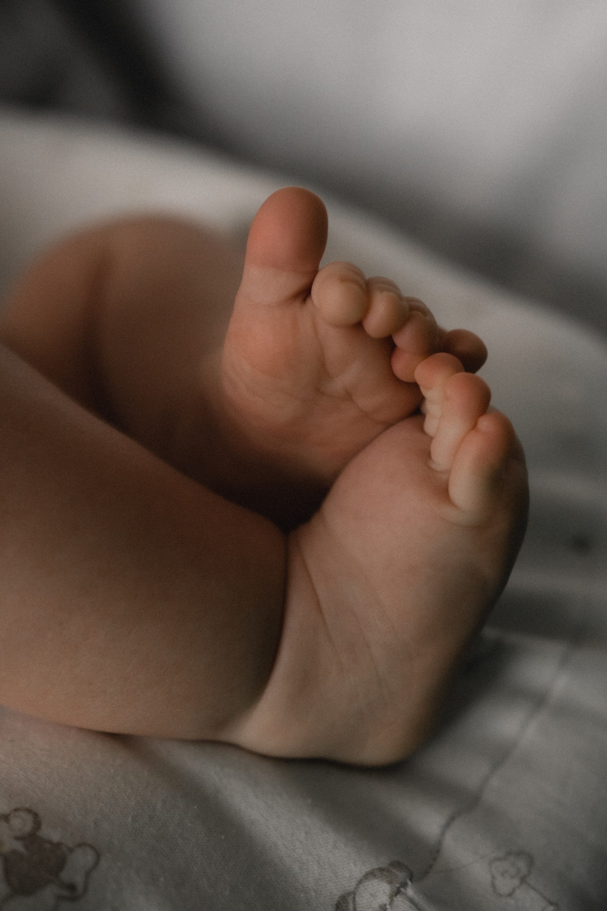 Домашняя фотосессия в Подольске