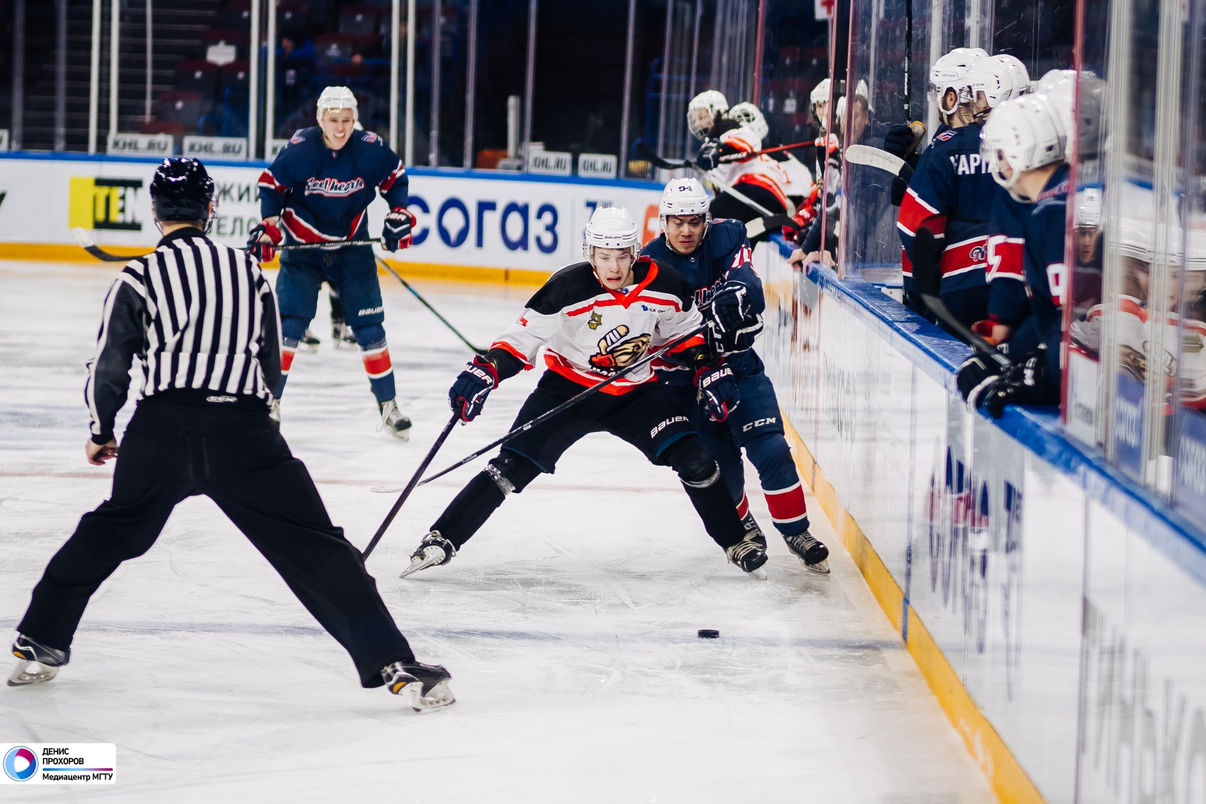 Чемпионат СХЛ // 04.02.2024. Денис Прохоров Фотограф в г. Магнитогорск