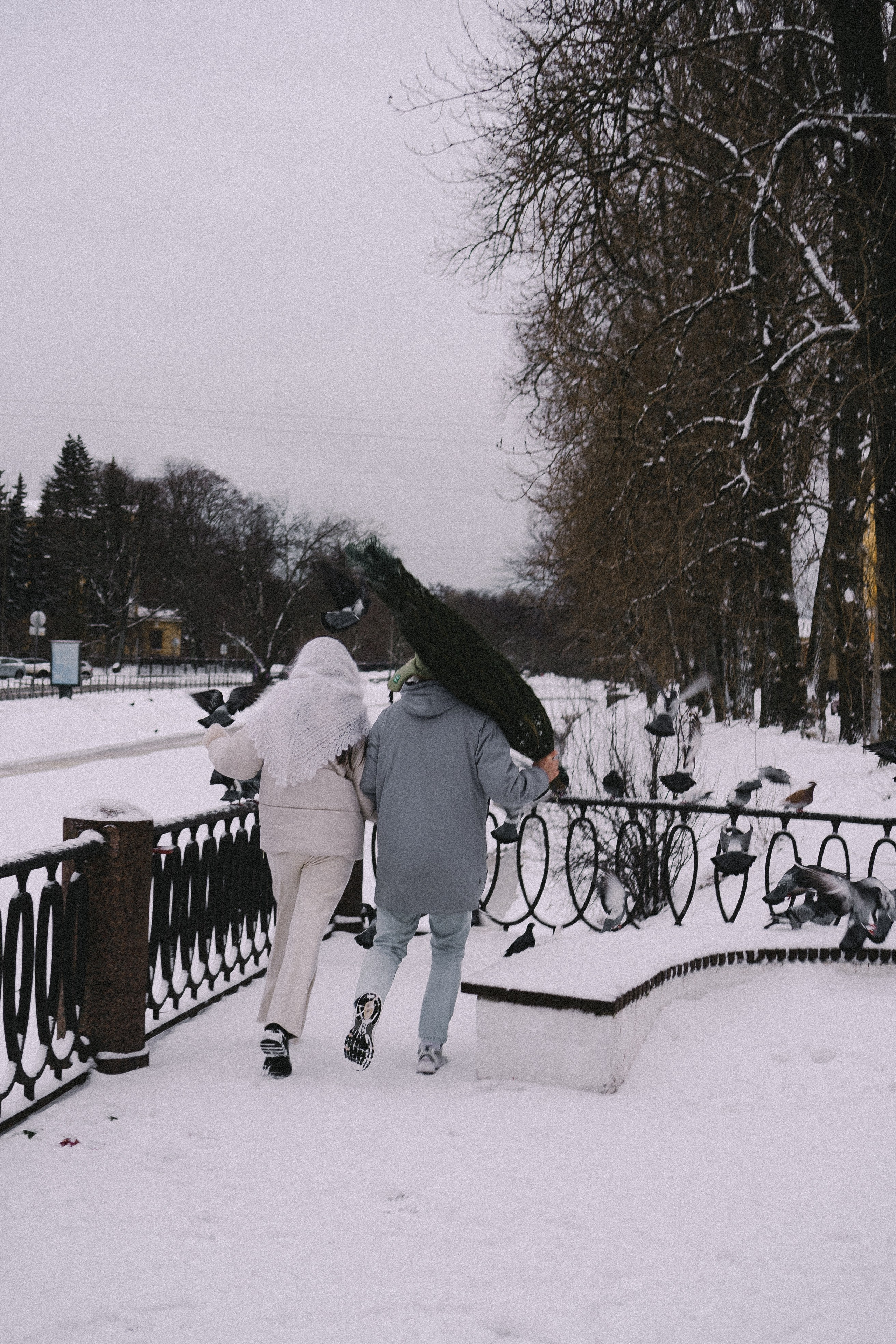 Зимняя история. Профессиональный фотограф, Санкт-Петербург — Виктория Богомолова