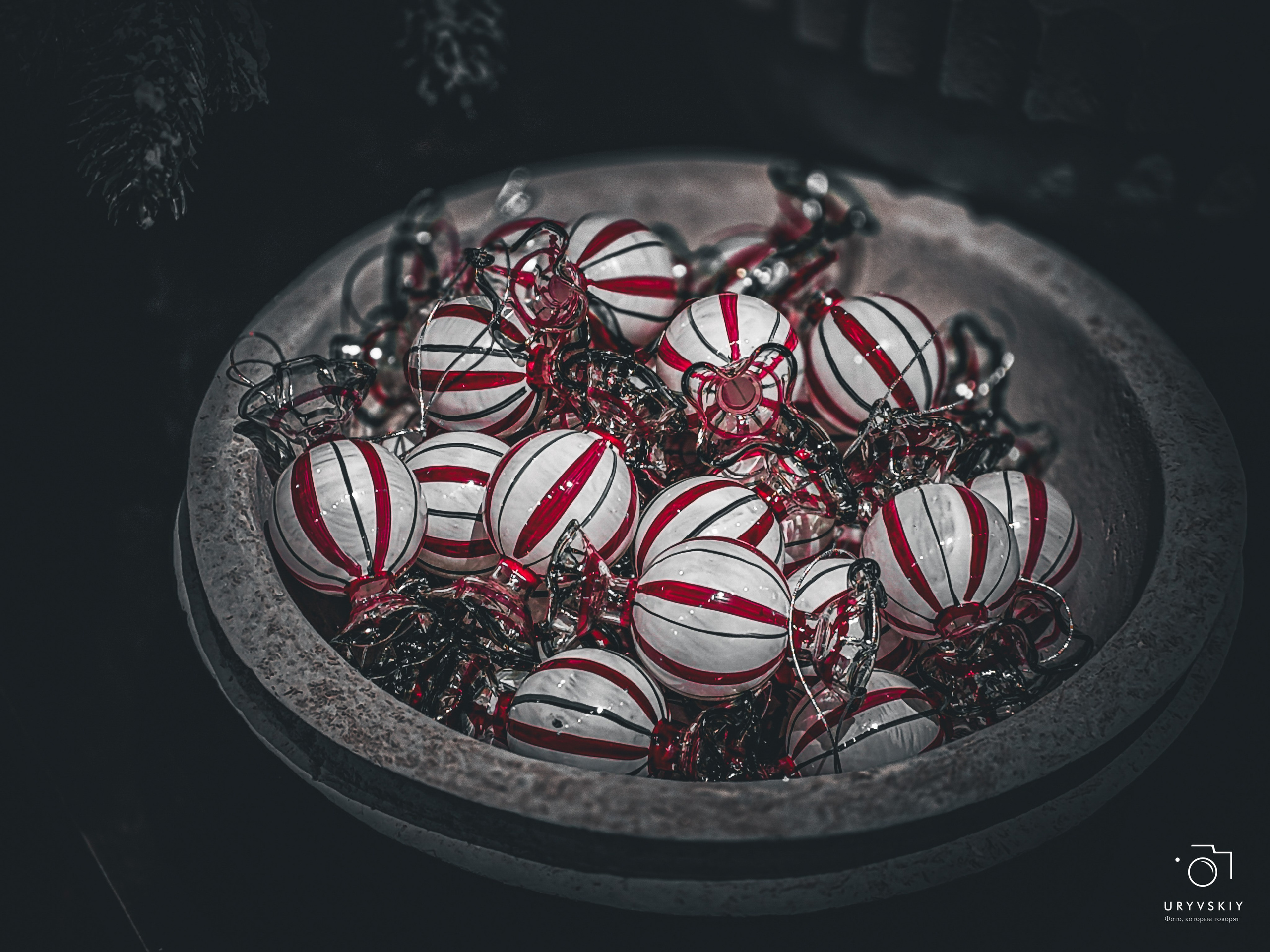 Bellini Осенний маркет. Игорь Урывский. Фотограф Красноярск