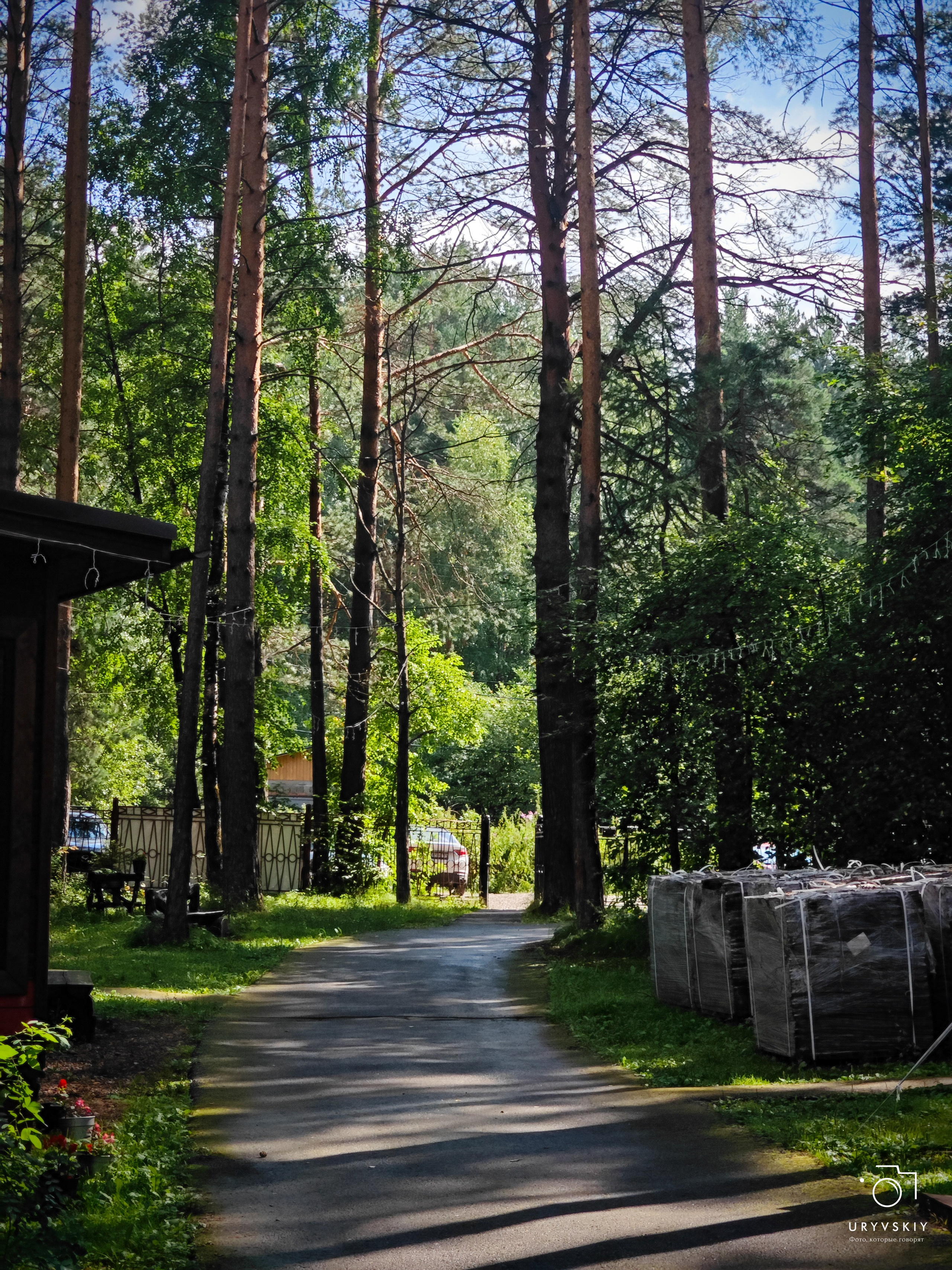 Командор, Хороший. День торговли 2025. Игорь Урывский. Фотограф Красноярск