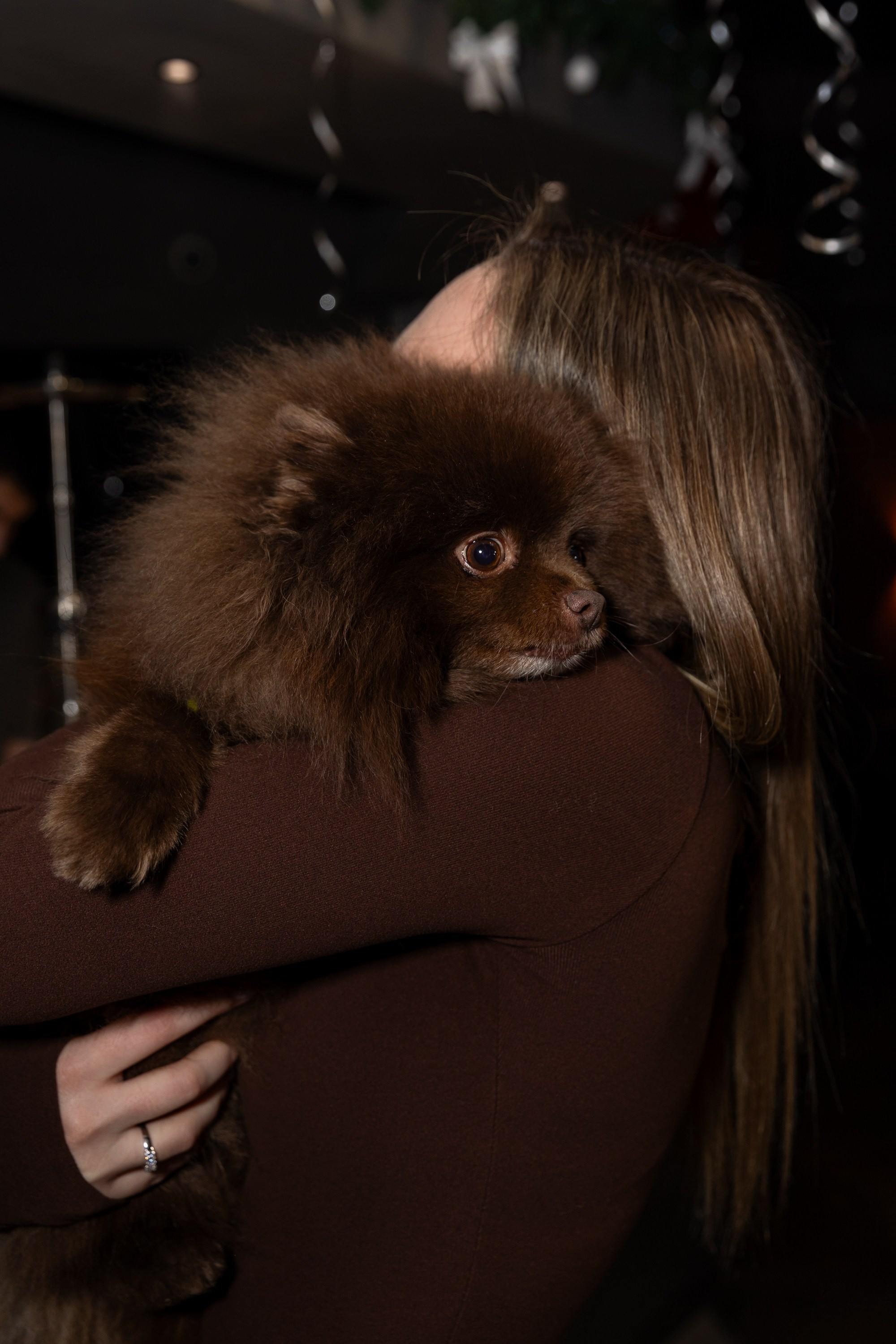 Корпоратив в «Шоко». Свадебный и семейный фотограф Виолетта Сидельникова. Краснодар, Россия, Беларусь, Европа