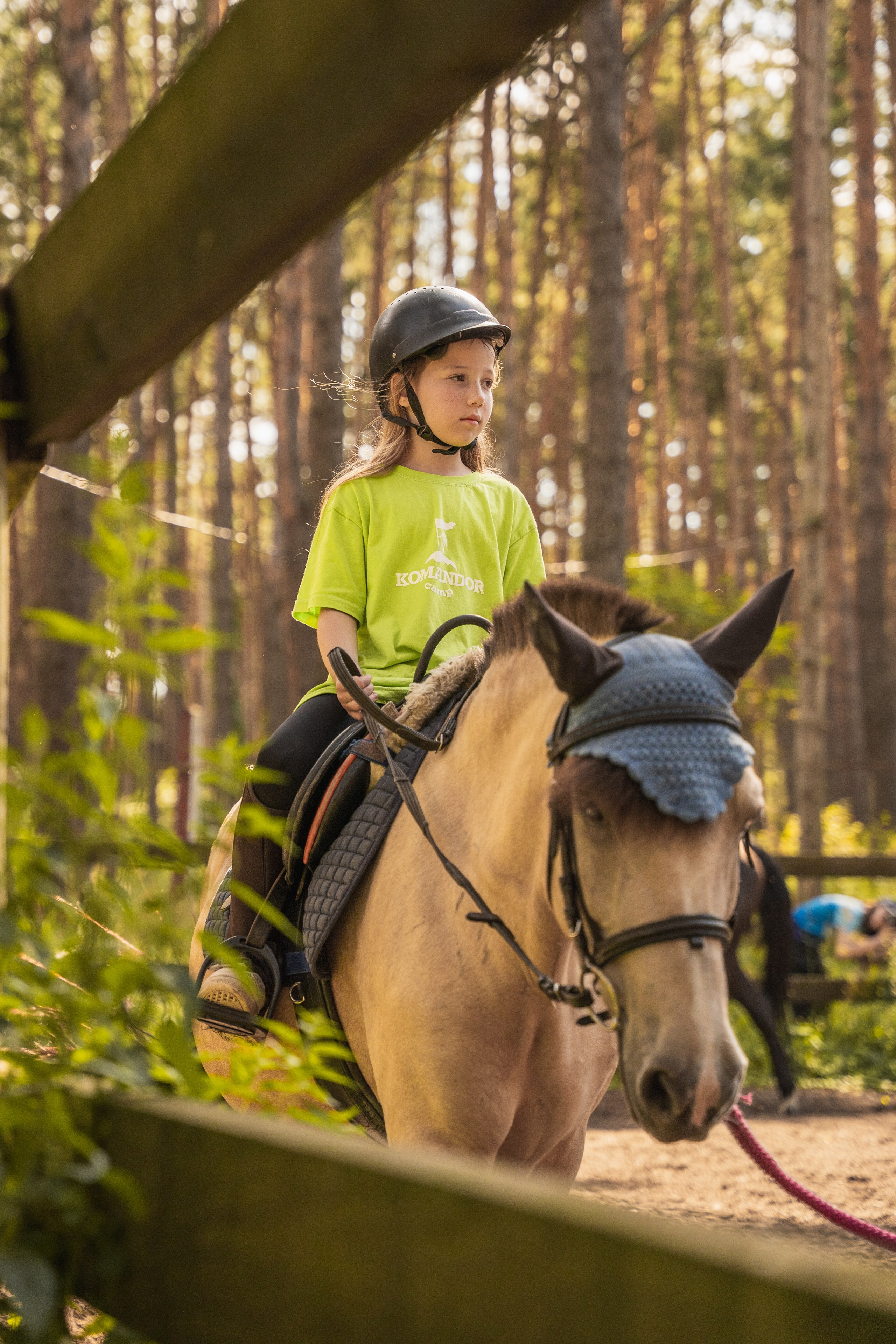 Конное занятие. Главная