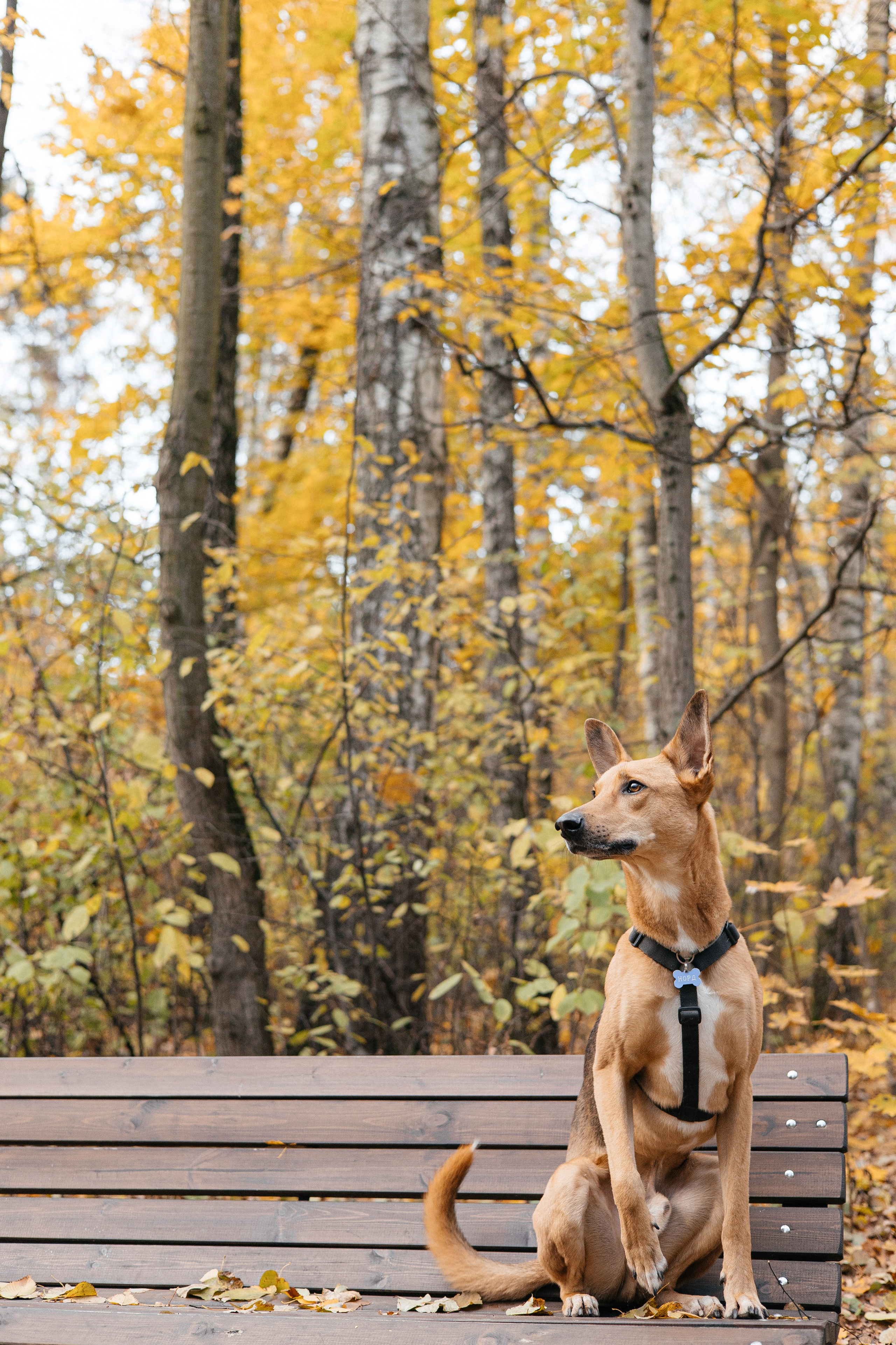 Нелли, Лёша, Рэй и Норд. Фотограф Анна Луценко Москва