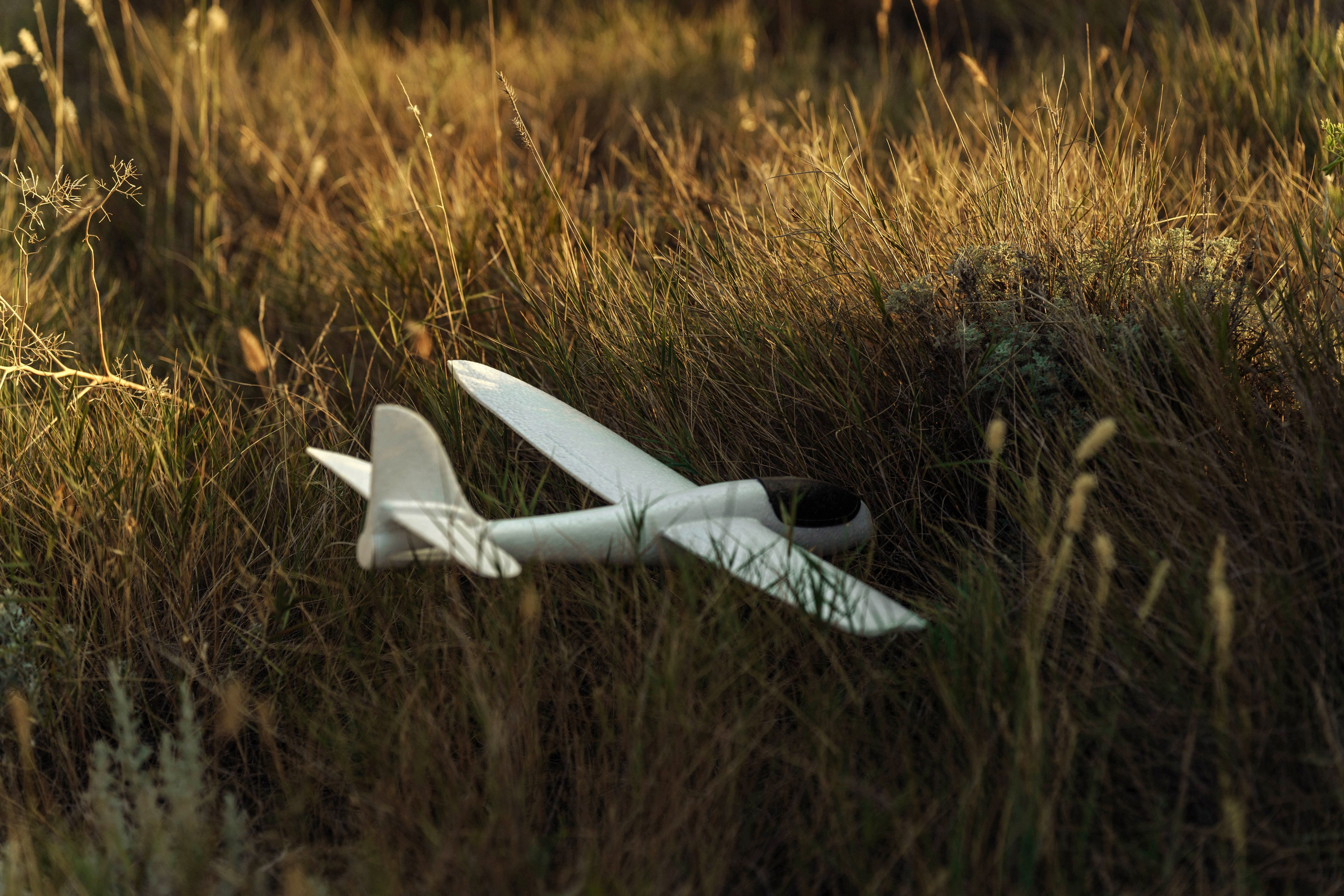 Семейная для Марии в к.Рай. Татьяна Тагель