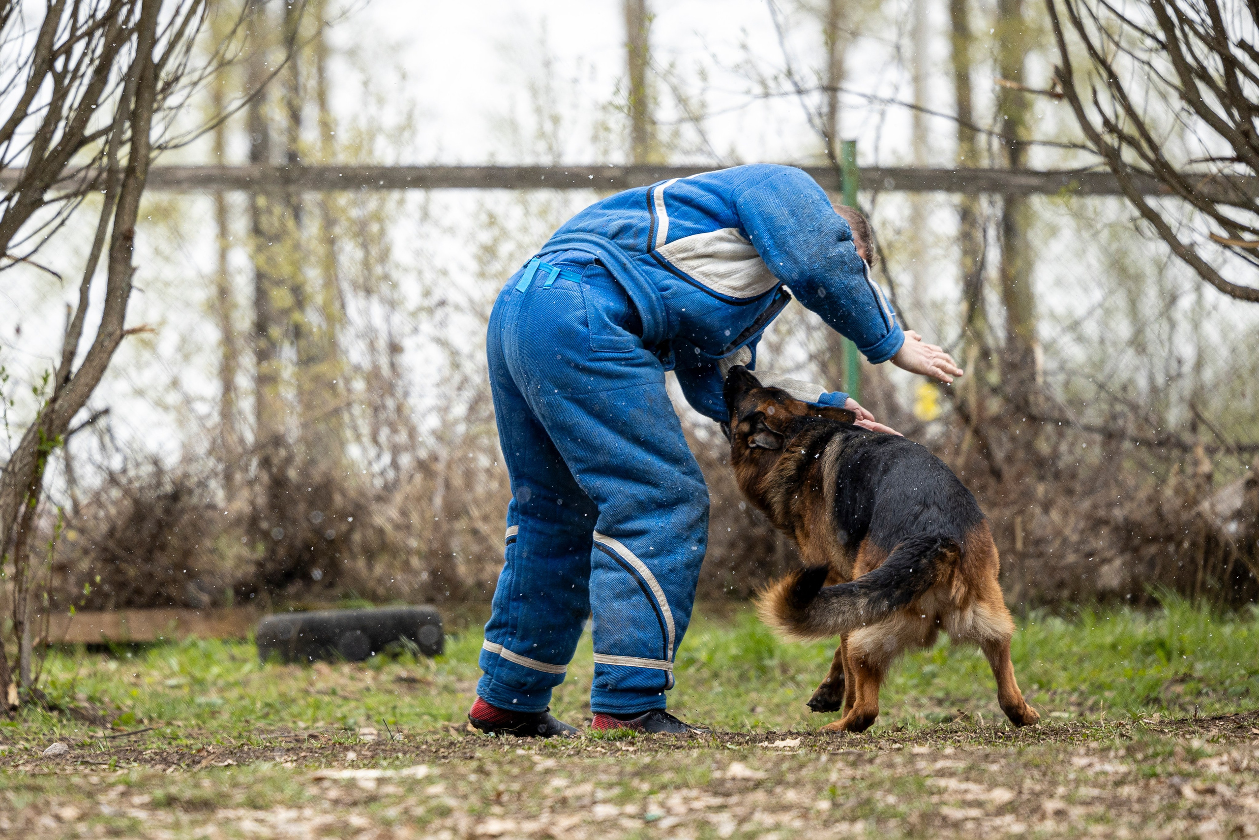Квалификационные состязания по мондьорингу г. Вологда 11.05.24. Фотограф-анималист Анна Маринич