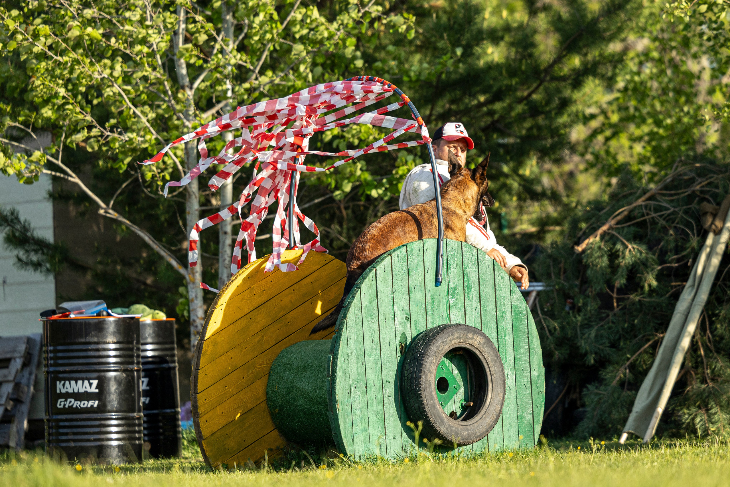 Испытания по мондьорингу в Нижнем Новгороде. Фотограф-анималист Анна Маринич