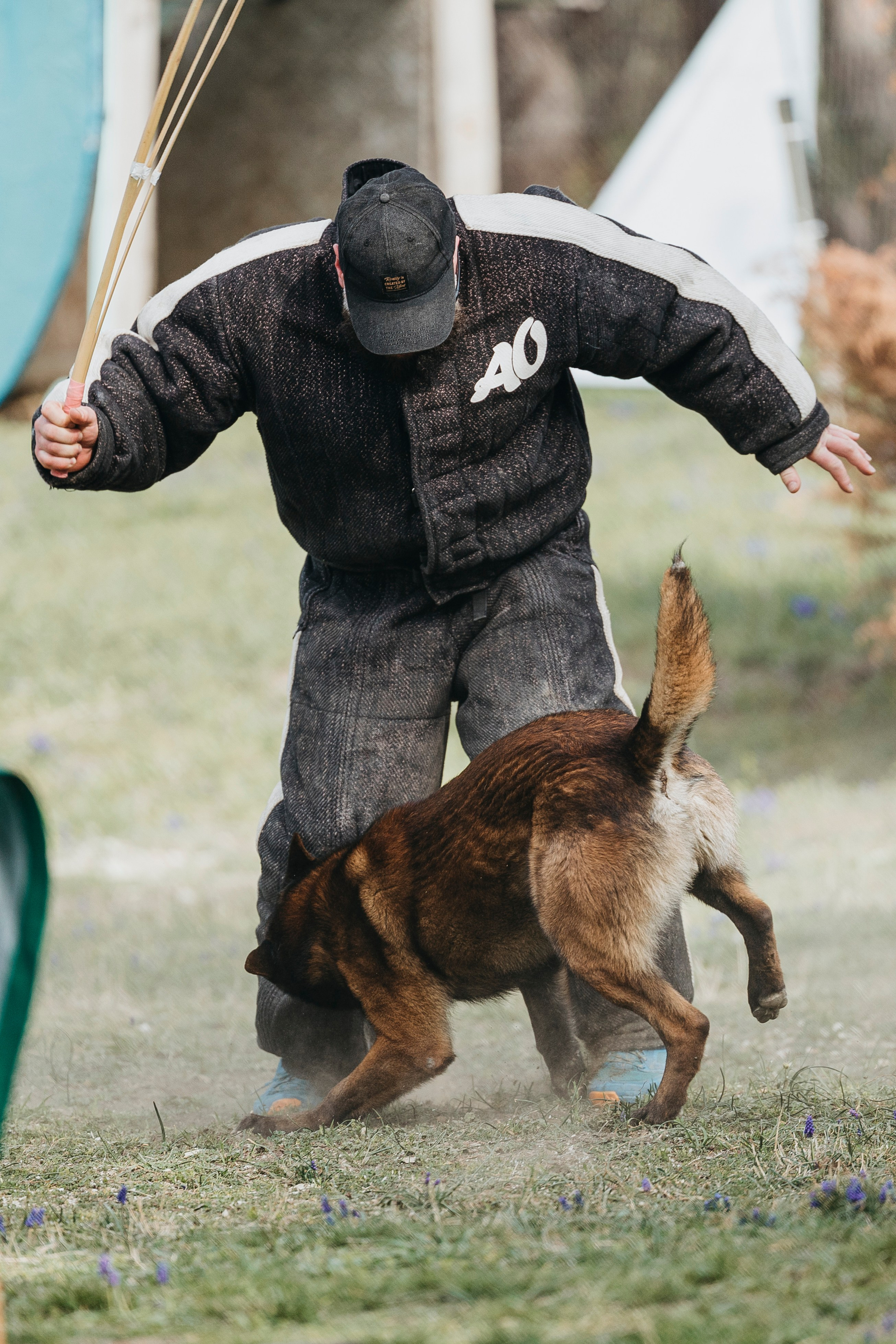 Геленджик Мондьоринг. Фотограф-анималист Анна Маринич