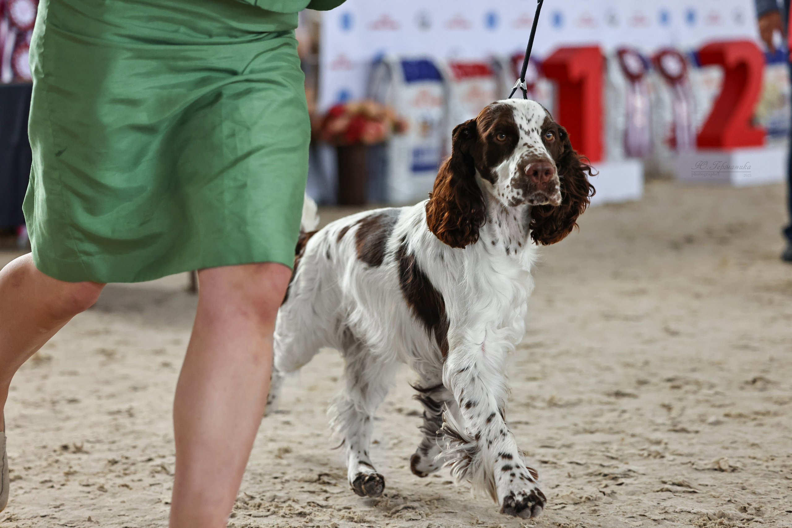 Астана 2хCACIB 26-28.09.2025. Фотограф-анималист Юлия Германика