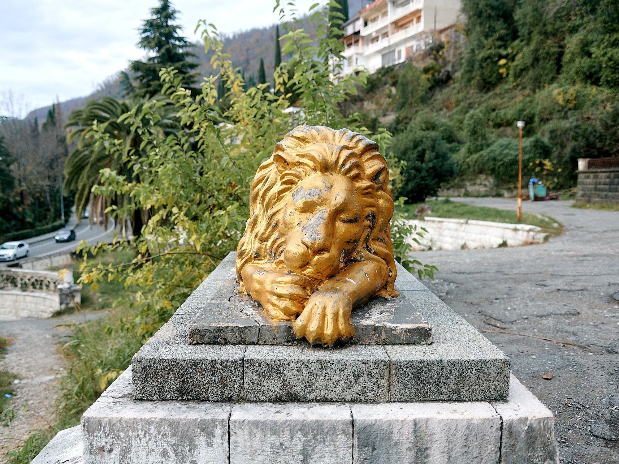 Гагра, Абхазия. Декабрь 2024. Фотографии отовсюду и обо всем