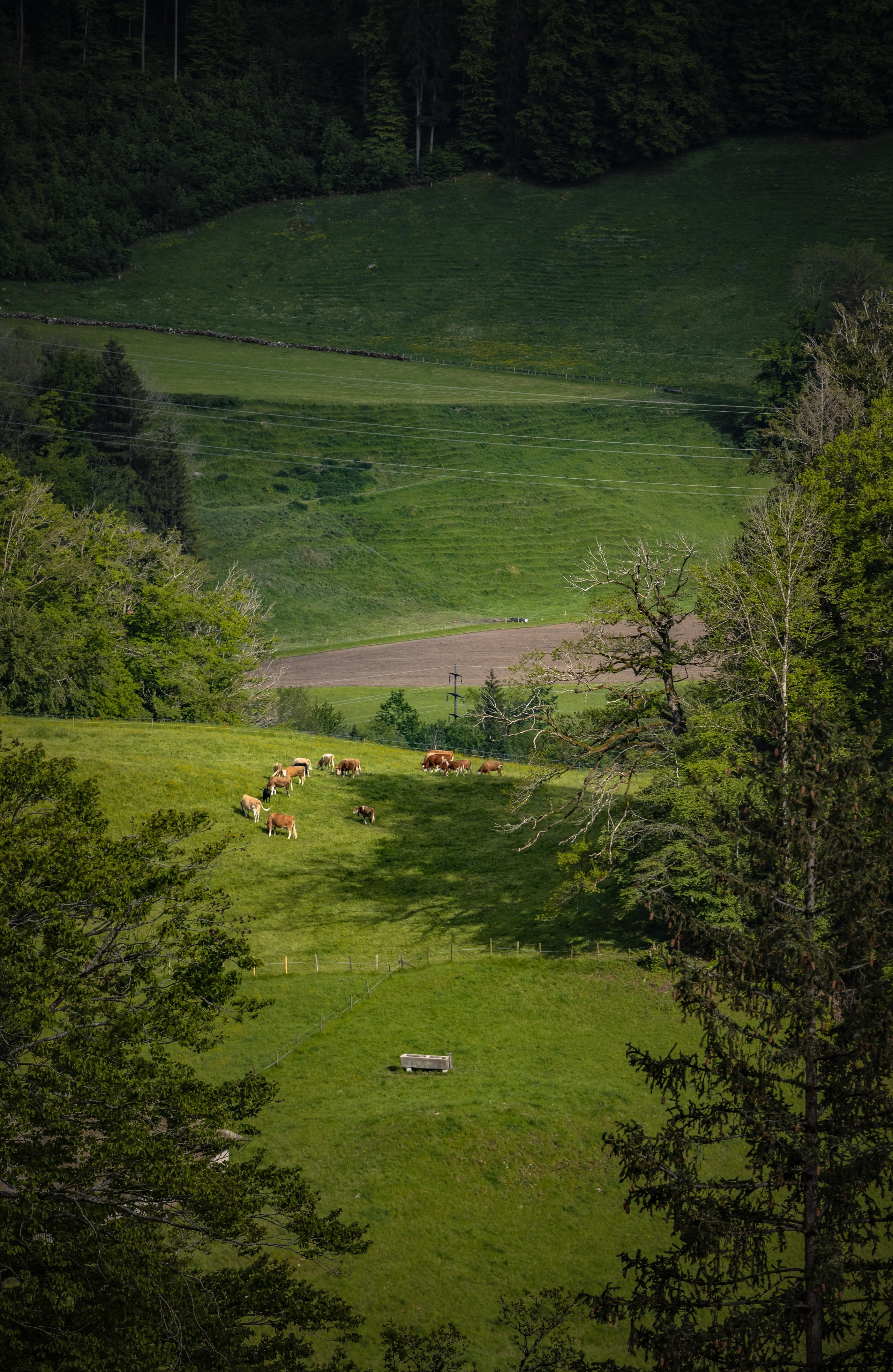 TRAVEL&NATURE. NE Cinema — backstage and reportage photography in cinema, music, Automotive and sport