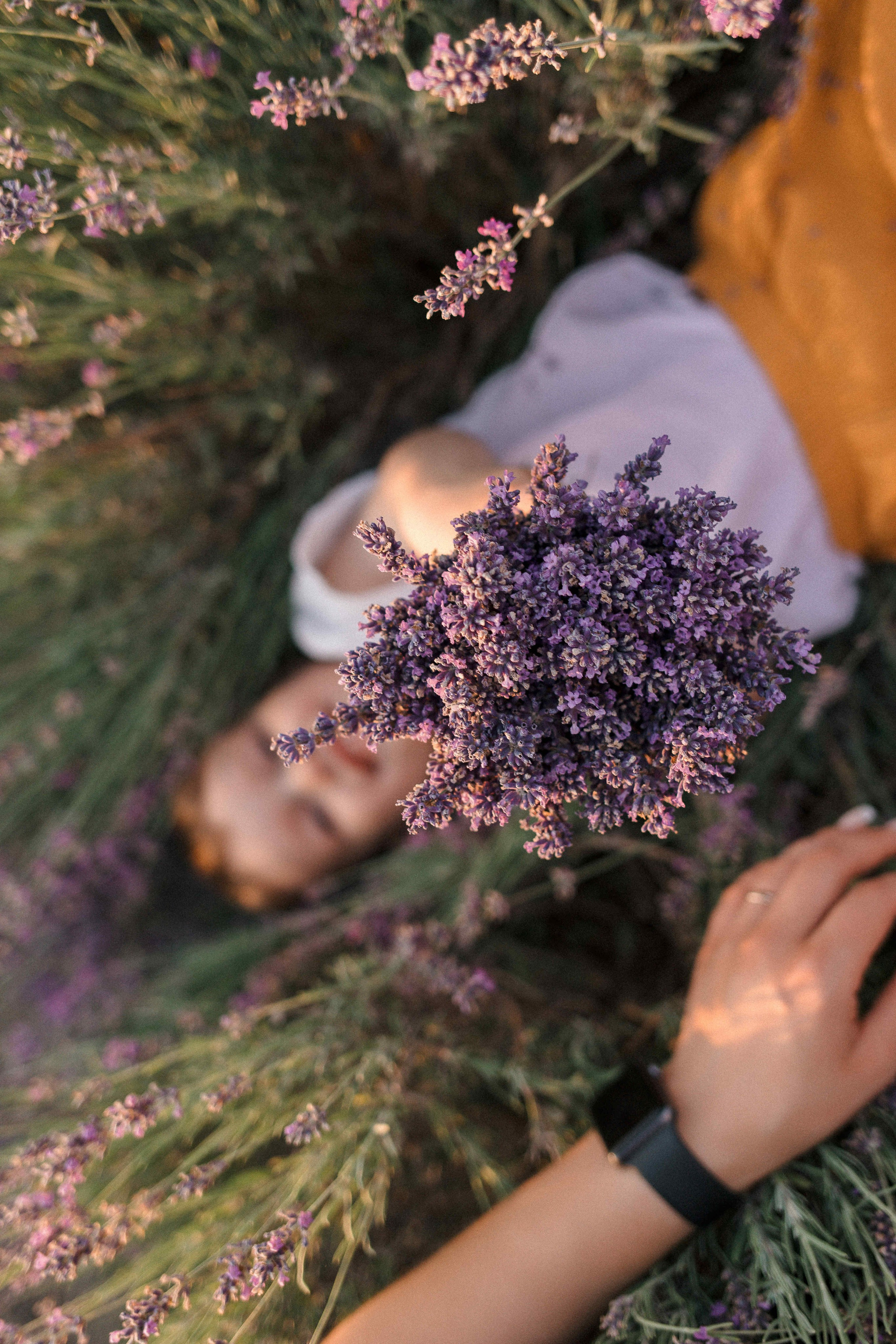 Лаванда. Свадебный фотограф Мироманов Николай в Крыму