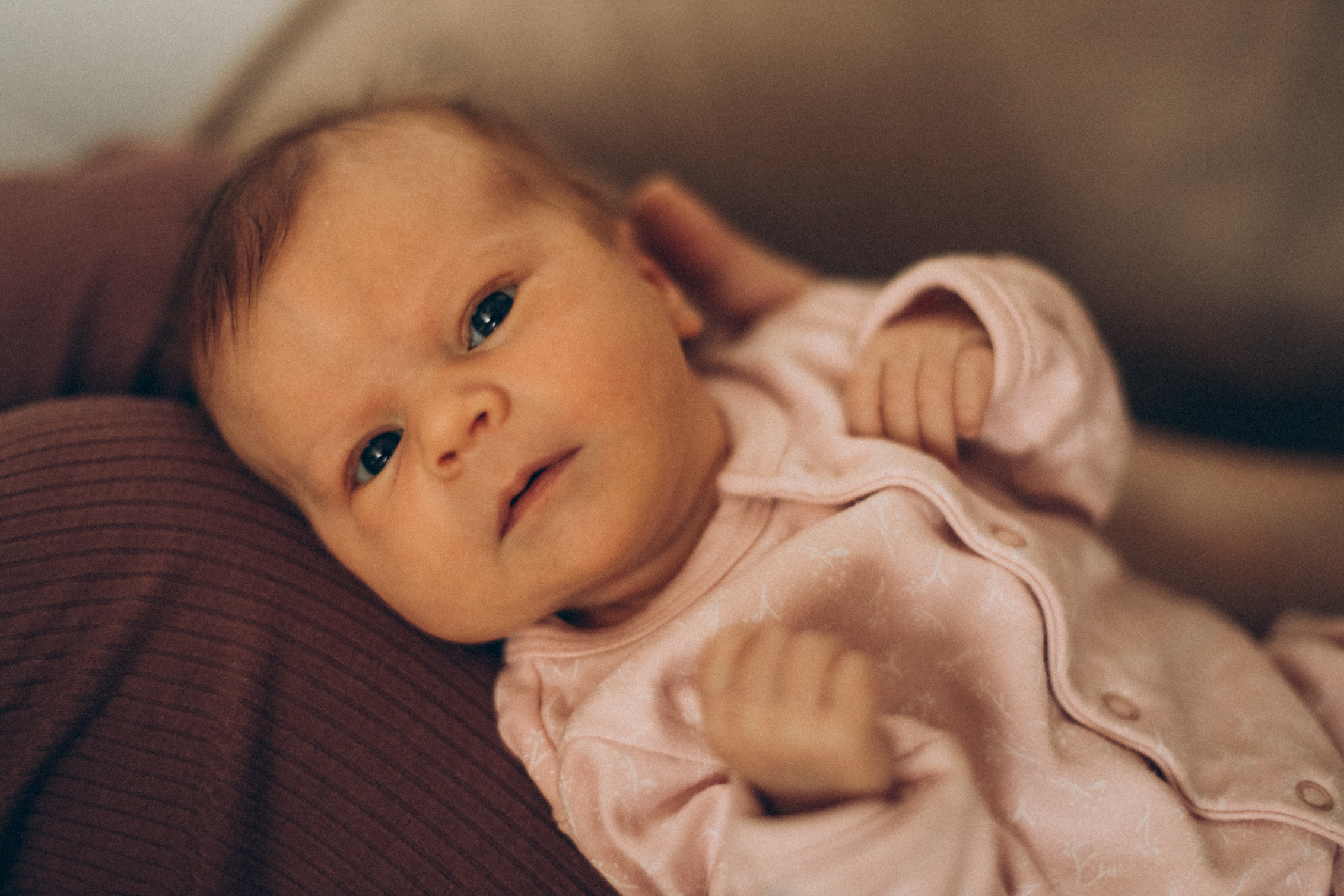 Катя, Ева и Кристина. Семейный фотограф Анапа