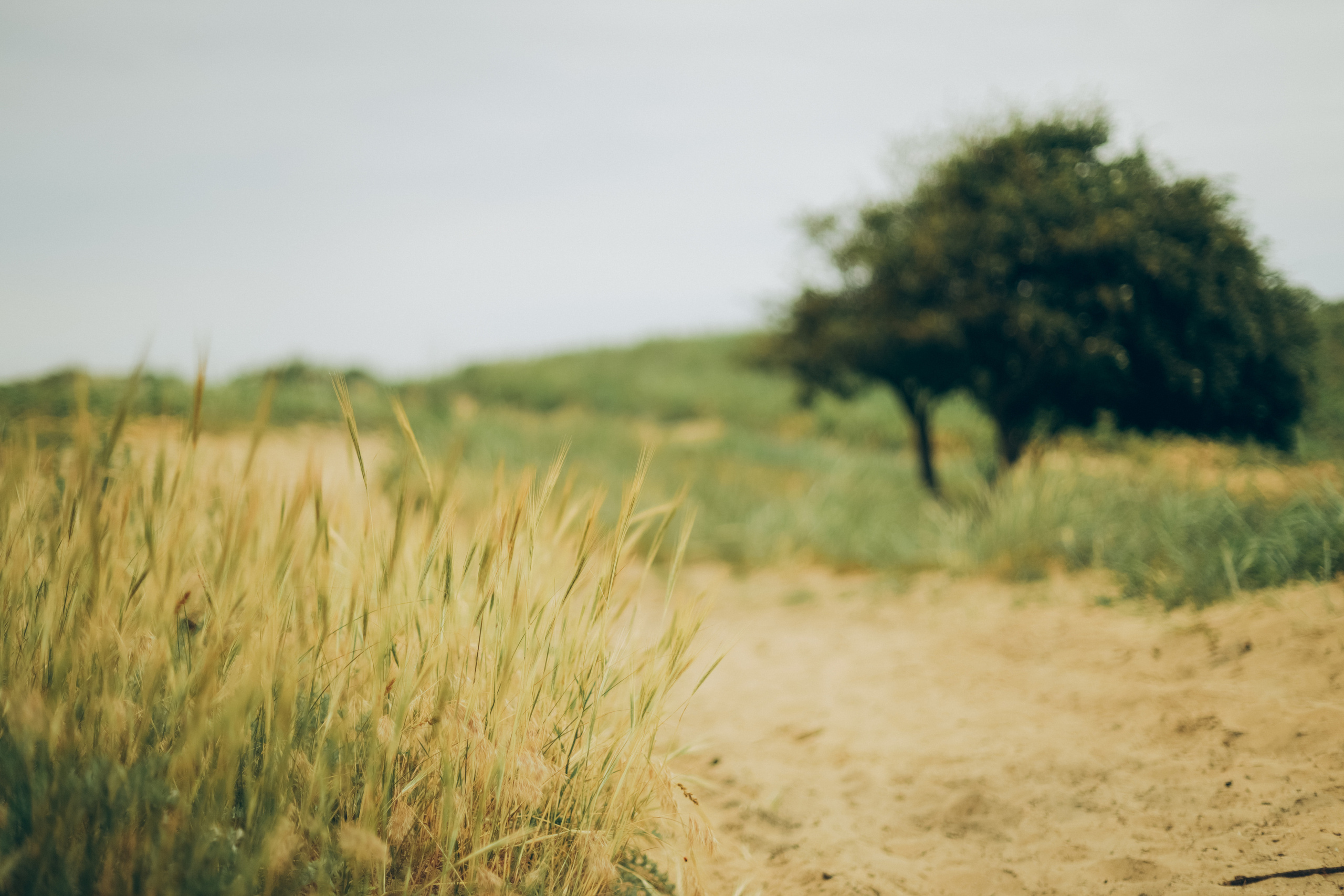 Мария, Павел и Тема. Семейный фотограф Анапа