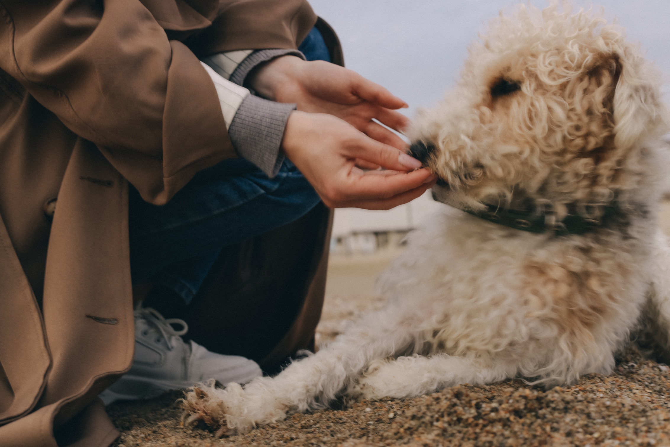 Саша и Фокси. Семейный фотограф Анапа