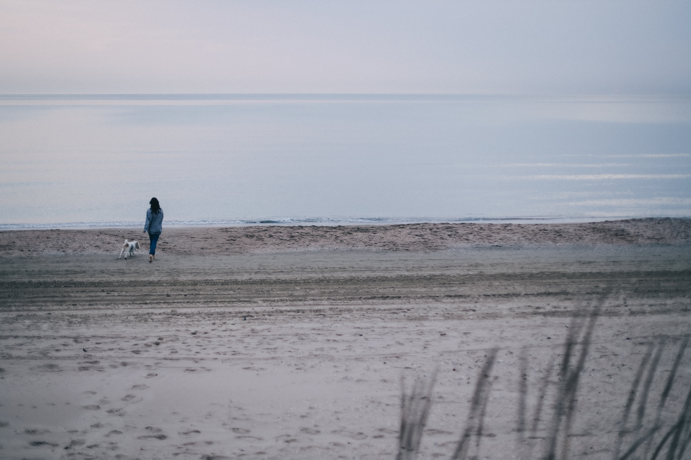 Саша и Фокси. Семейный фотограф Анапа