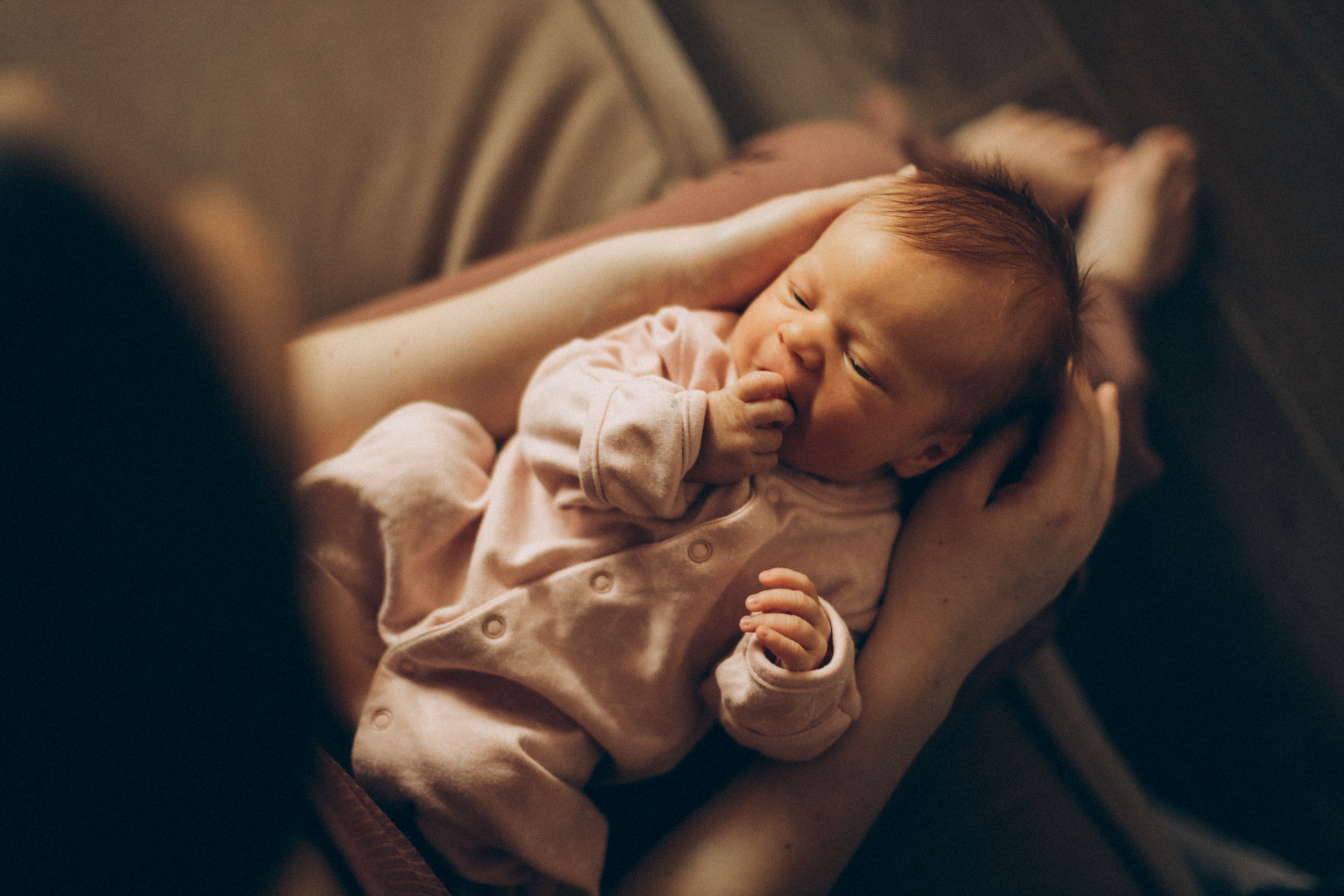 Катя, Ева и Кристина. Семейный фотограф Анапа