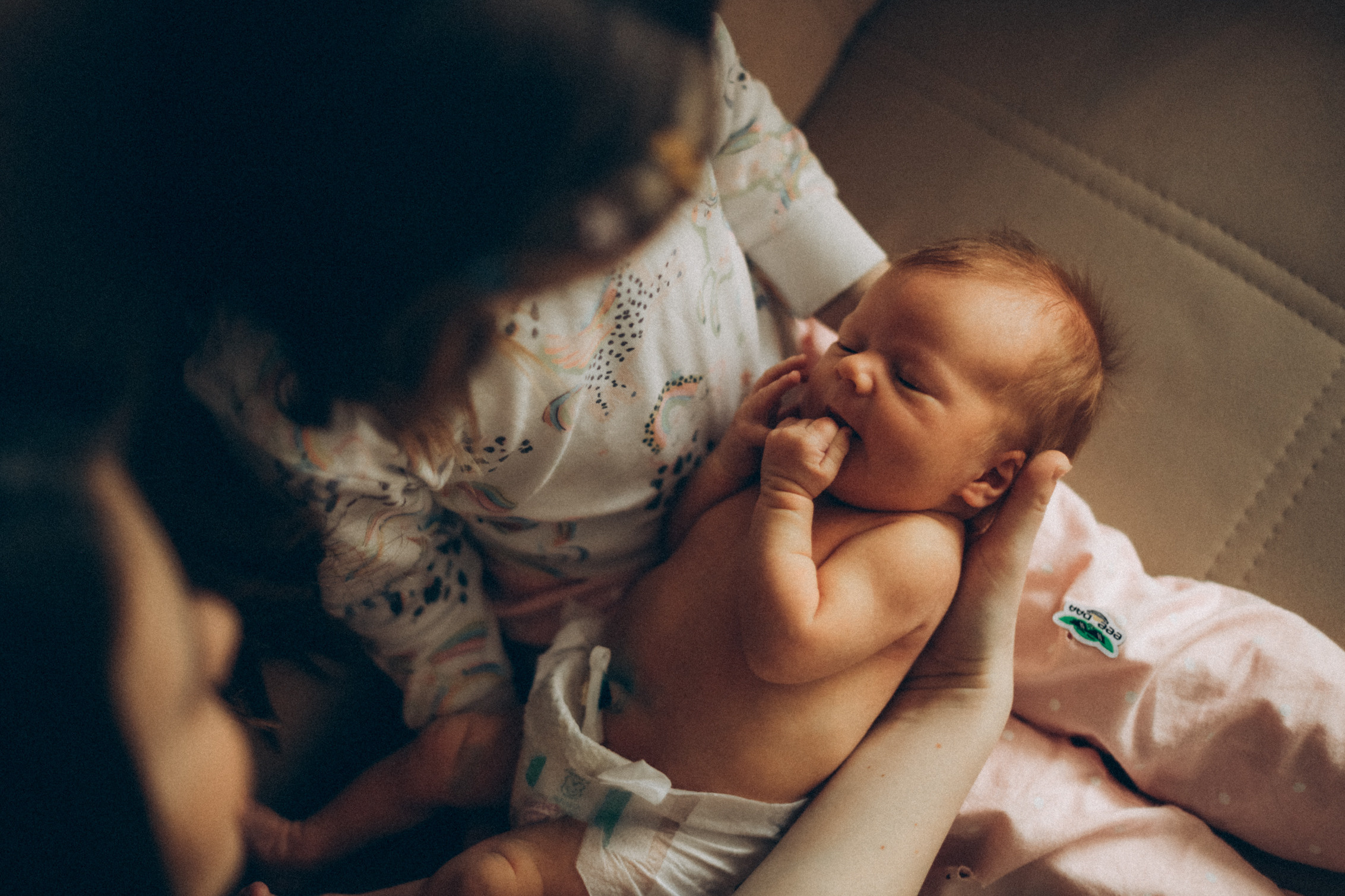 Катя, Ева и Кристина. Семейный фотограф Анапа