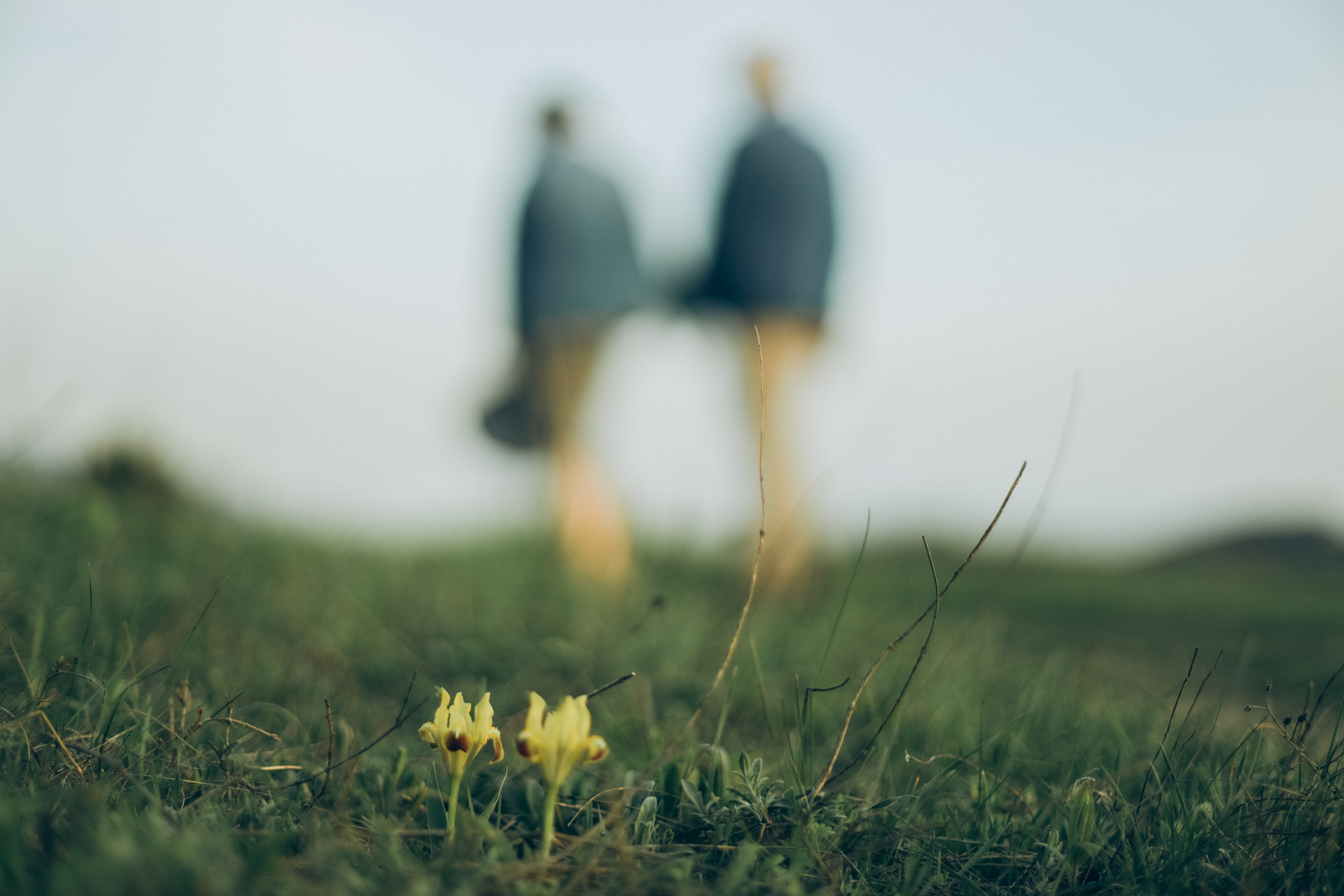 Инга и Андрей. Семейный фотограф Анапа