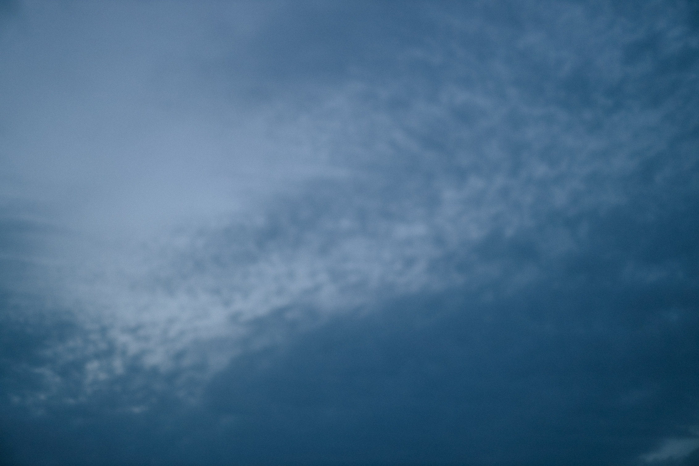 Саша и Фокси. Семейный фотограф Анапа