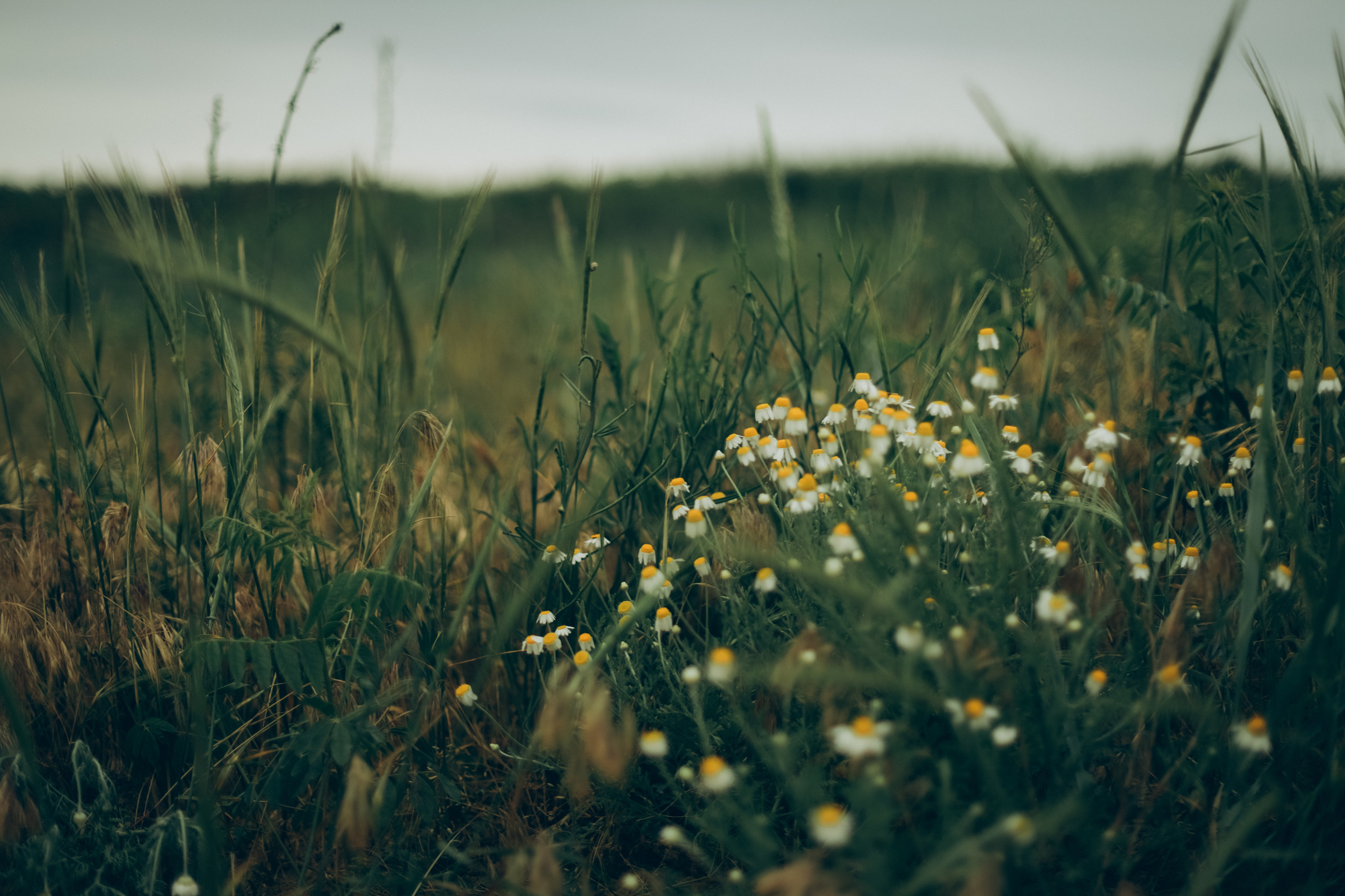 Мария, Павел и Тема. Семейный фотограф Анапа