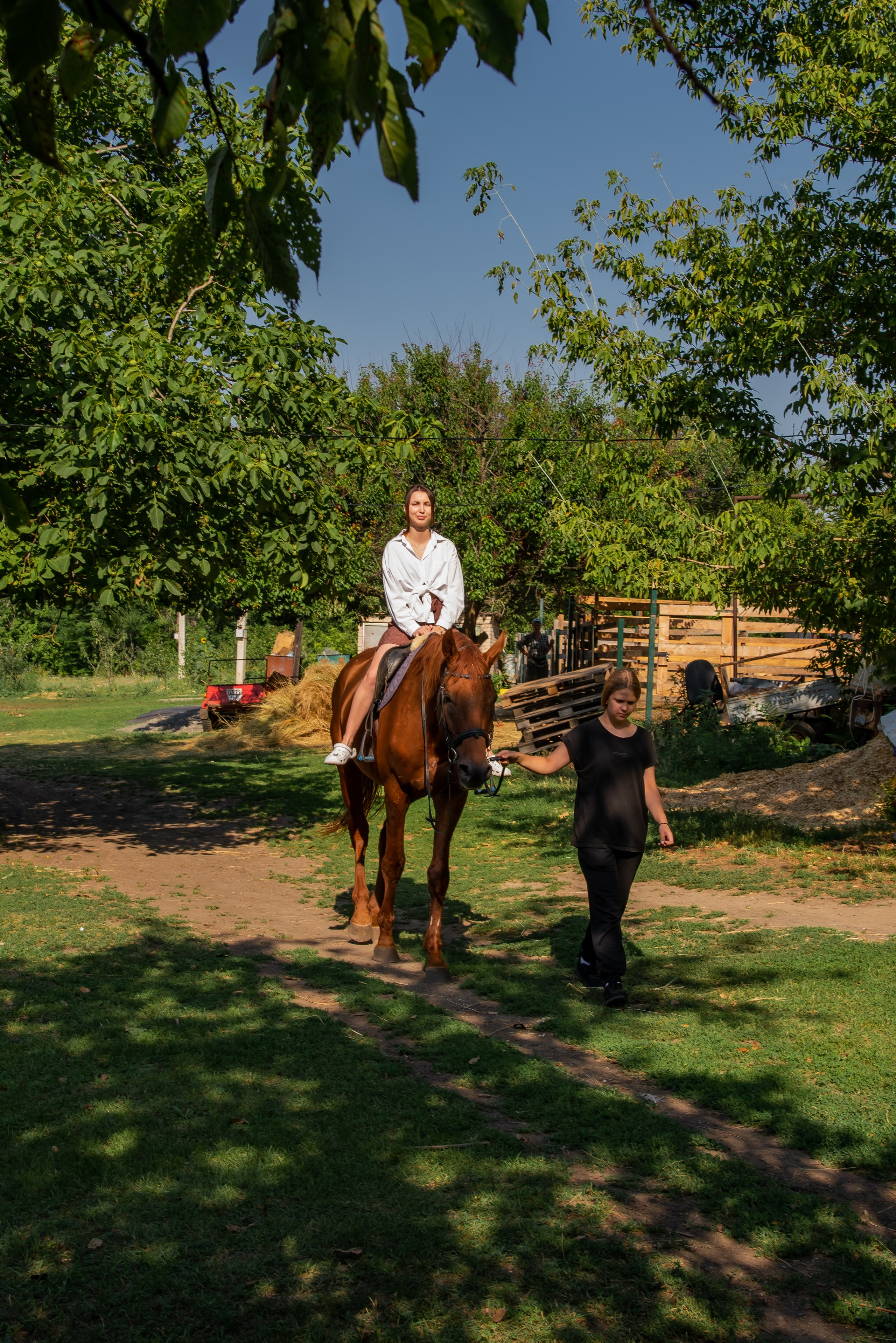 Конная прогулка. Фотограф Галина Нестерова