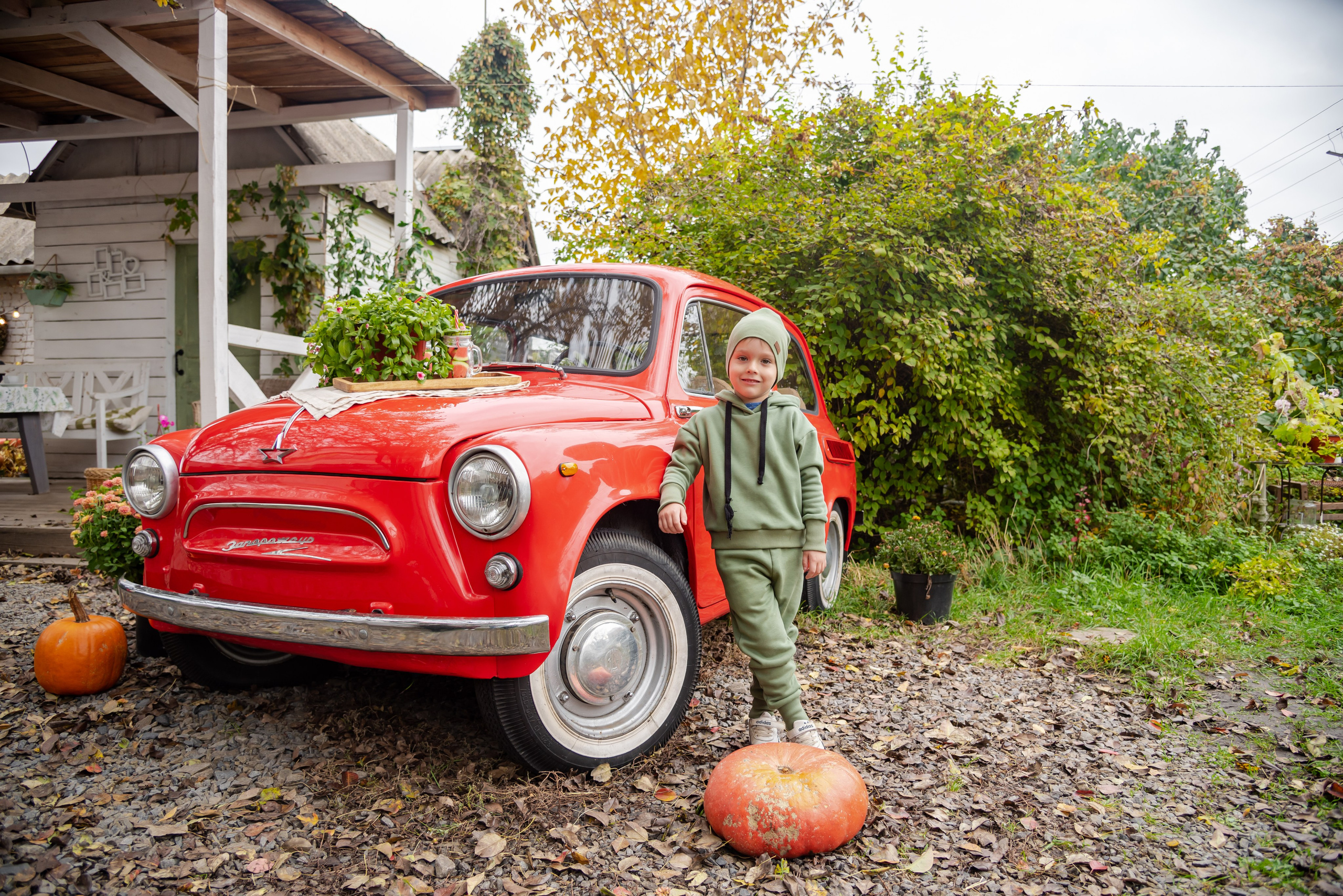 Авакадо. Фотограф Галина Нестерова