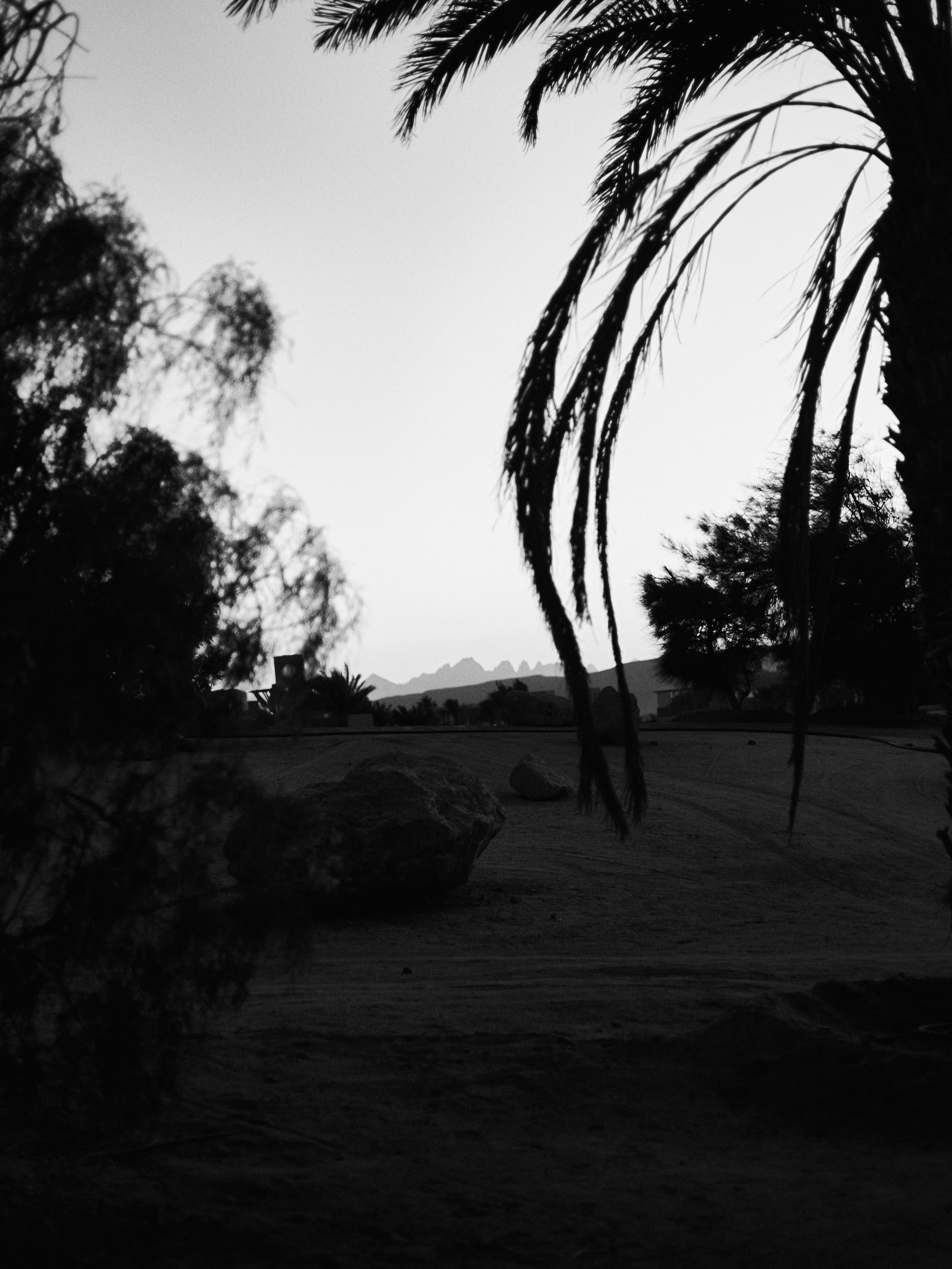 Другое 3. Jorgis — фотограф в Хургаде / обучение фотографии