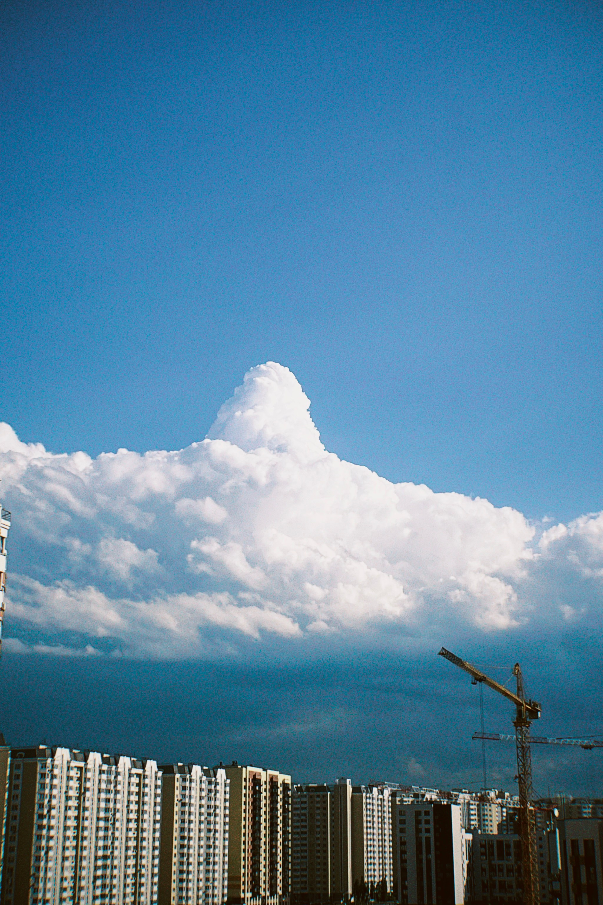 Визуальный дневник. Портретный фотограф в Москве Гахраманова Екатерина