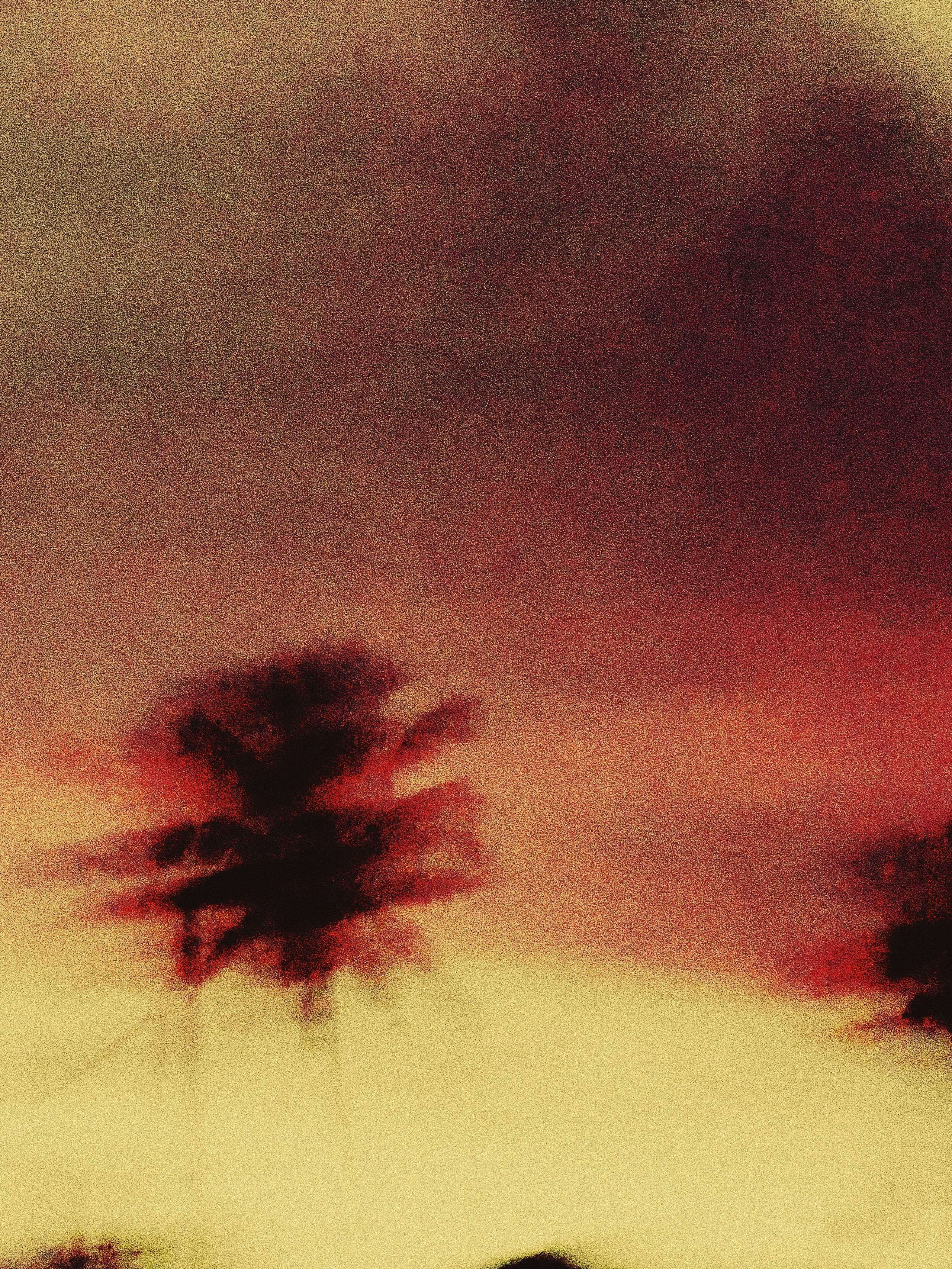 Found nowhere. Carolinetru