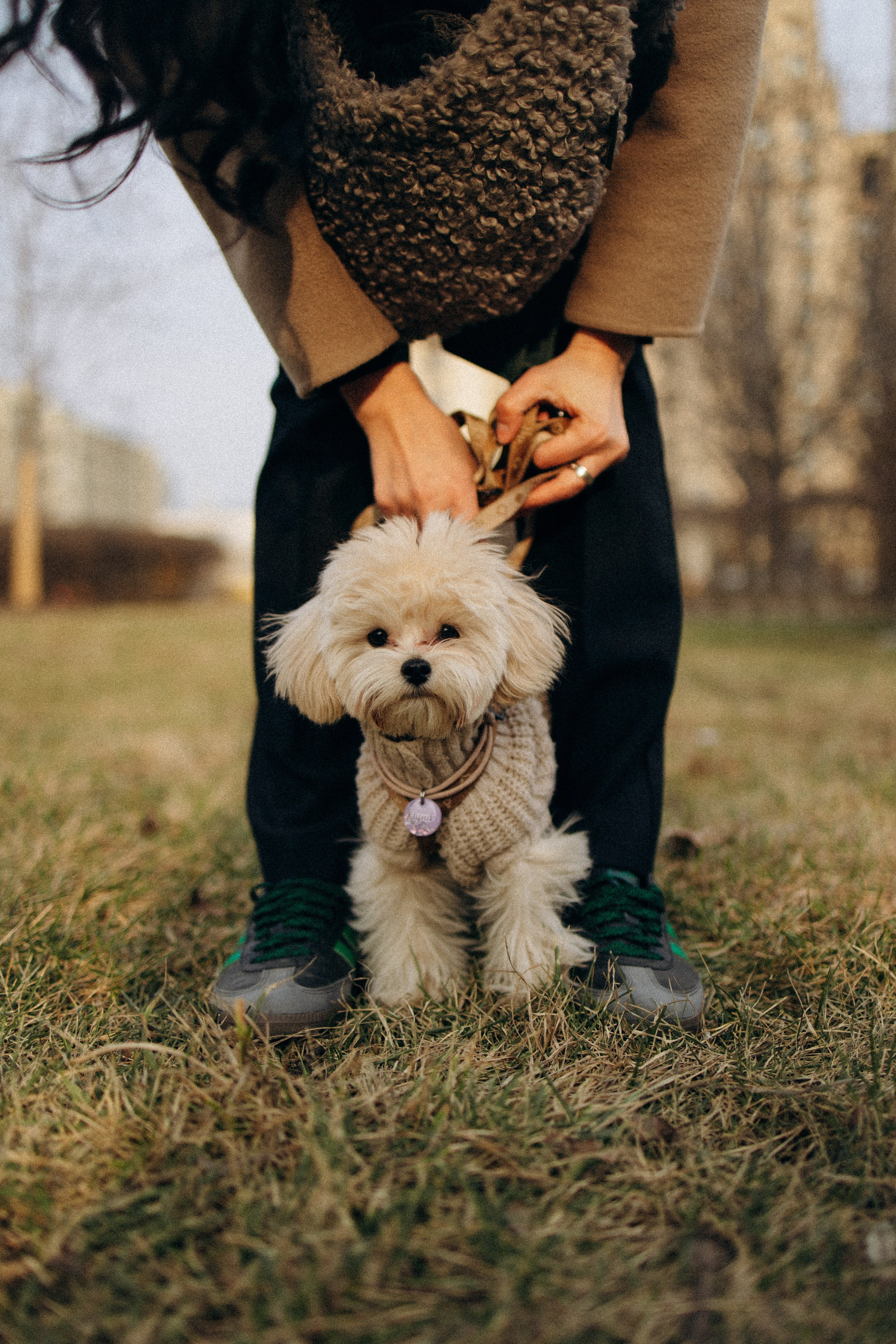 Маша, Лиза и Луна. Фотораф — анималист Мария Шистка