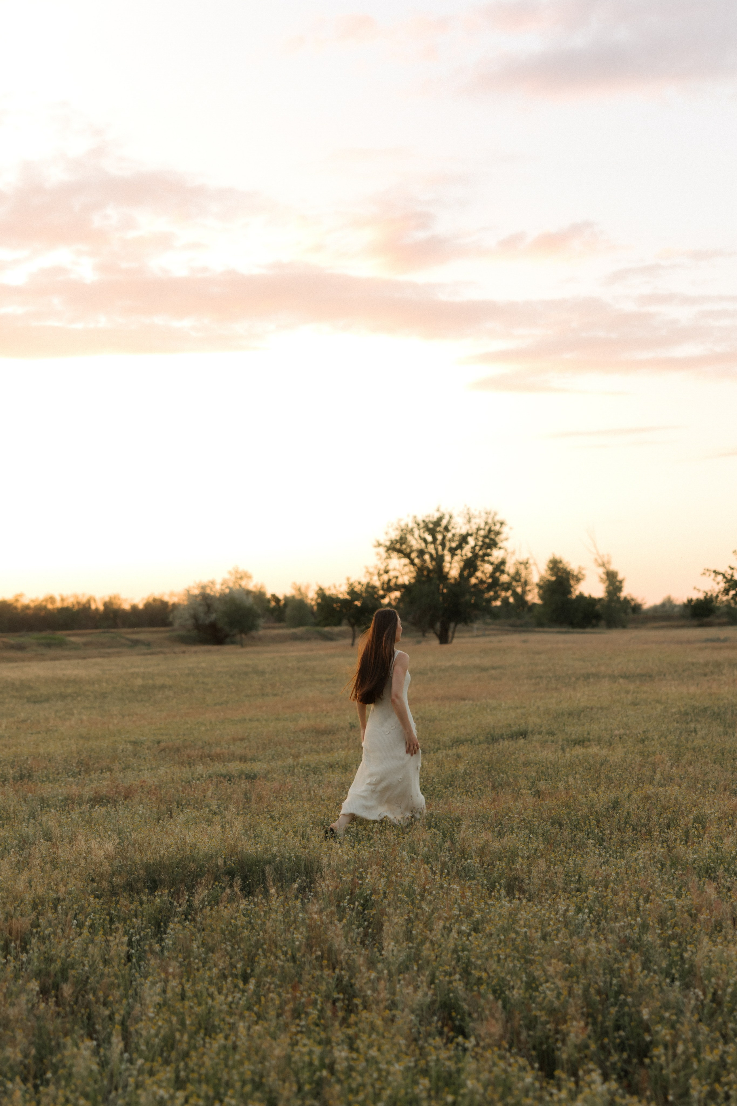 Ромашки. Свадебный и семейный фотограф Юлия Сафронова