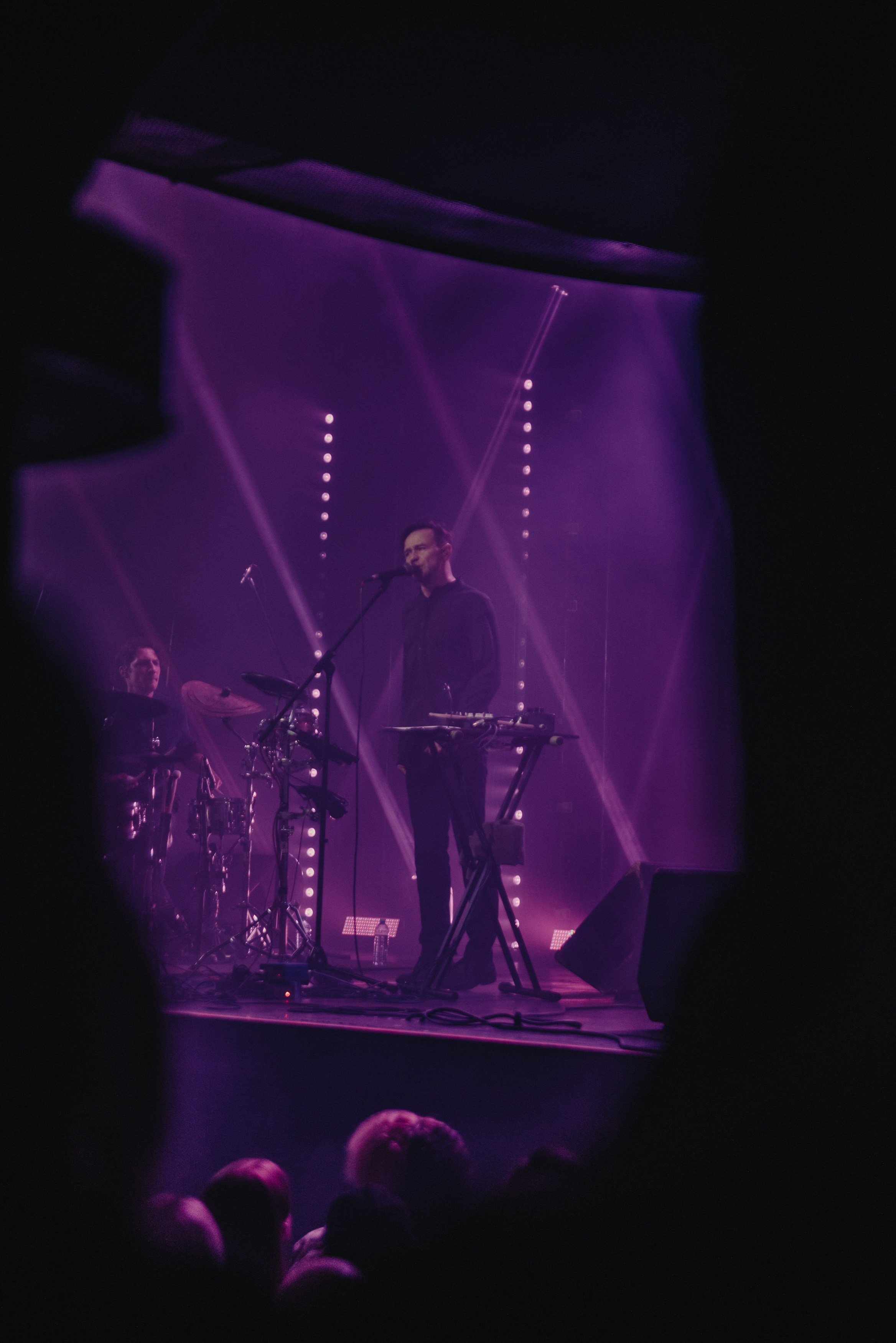 Дельфин | Gaudi. Контент фотограф Илья Урс