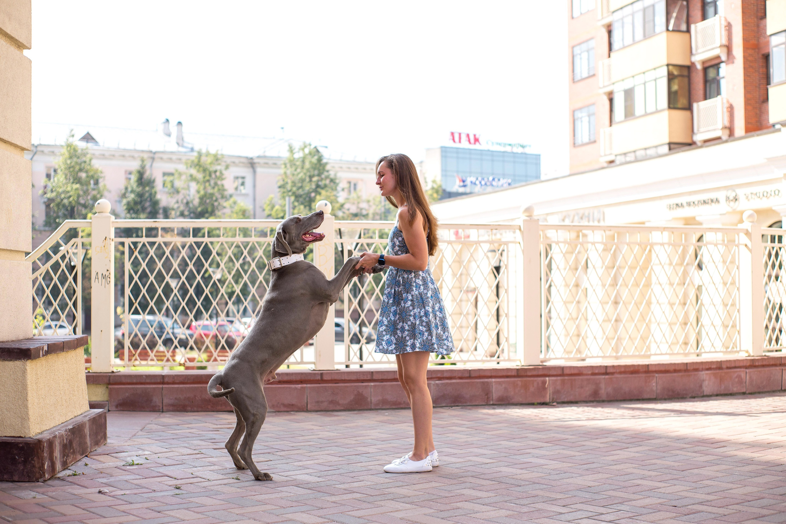 Евгения и Данте. Https://moshkovaphoto.ru/