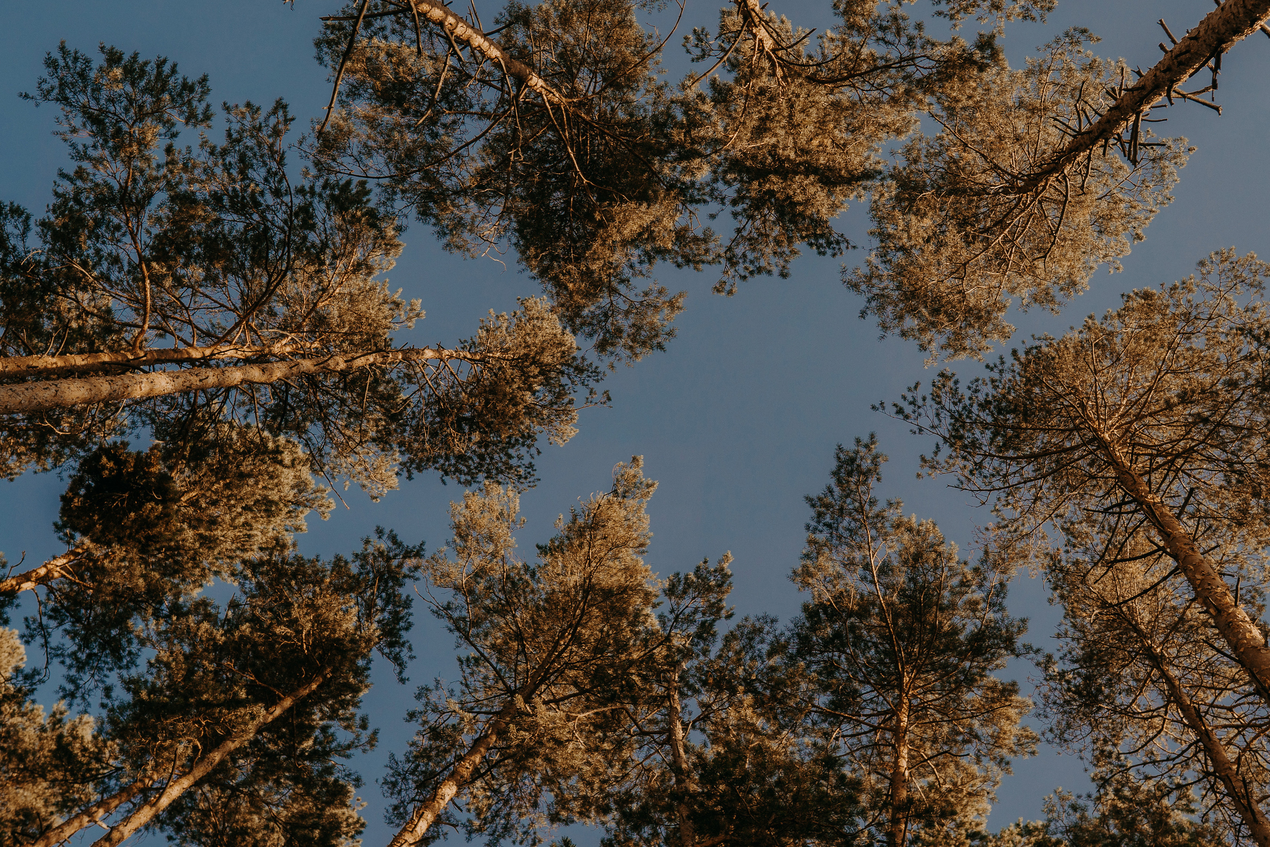 Алексей и Лиза. Фотограф в Нижнем Новгороде Александр Кудрявцев