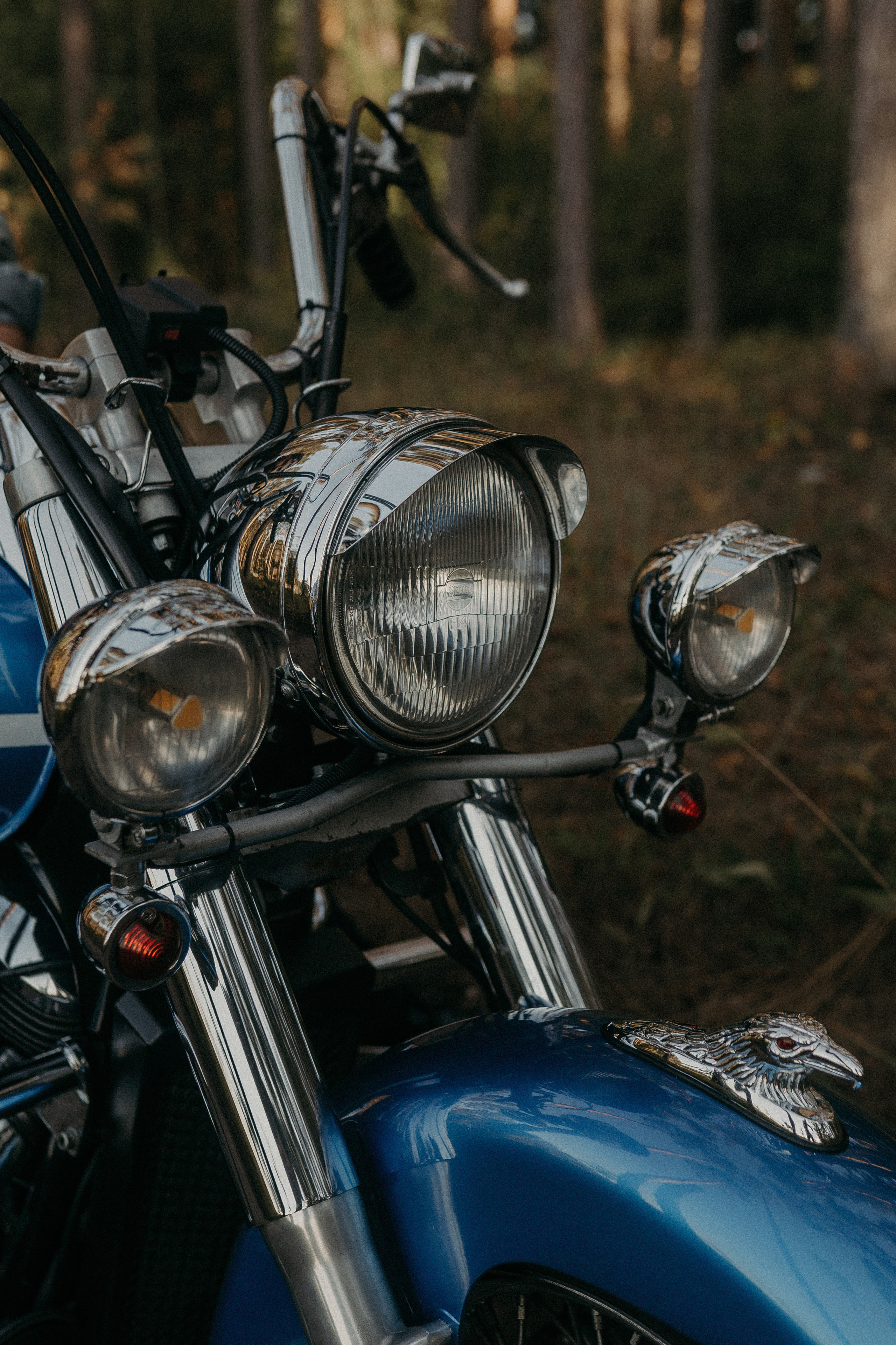 Алексей и Лиза. Фотограф в Нижнем Новгороде Александр Кудрявцев