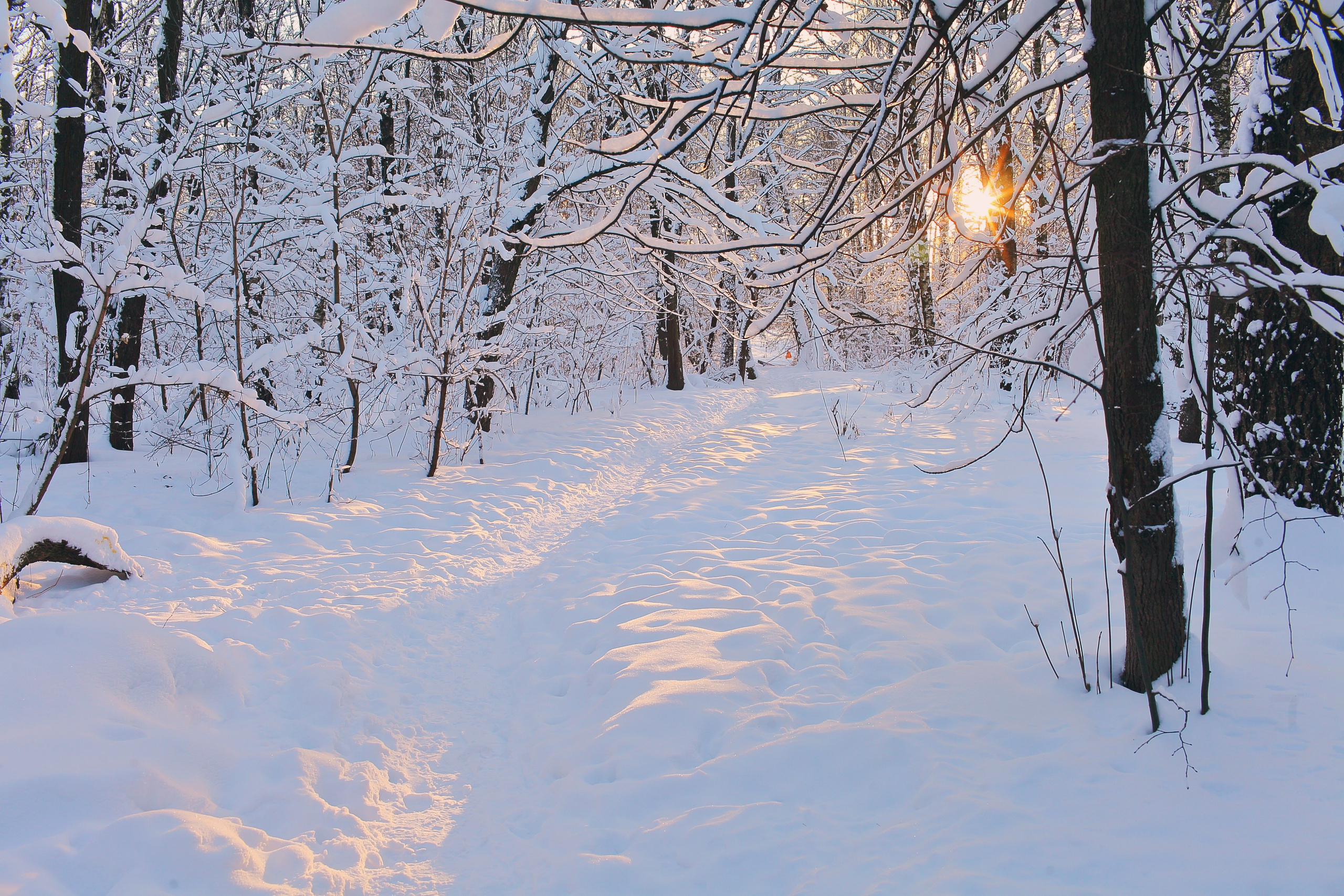 Средняя полоса. Свадебный и репортажный фотограф в Ярославле и Санкт-Петербурге Роман Микрюков